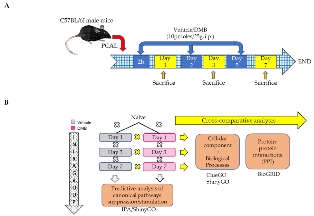 Proteomics of Mouse Heart Ventricles Reveals Mitochondria and Metabolism as Major Targets of a Post Infarction Short Acting GLP1Ra Therapy
