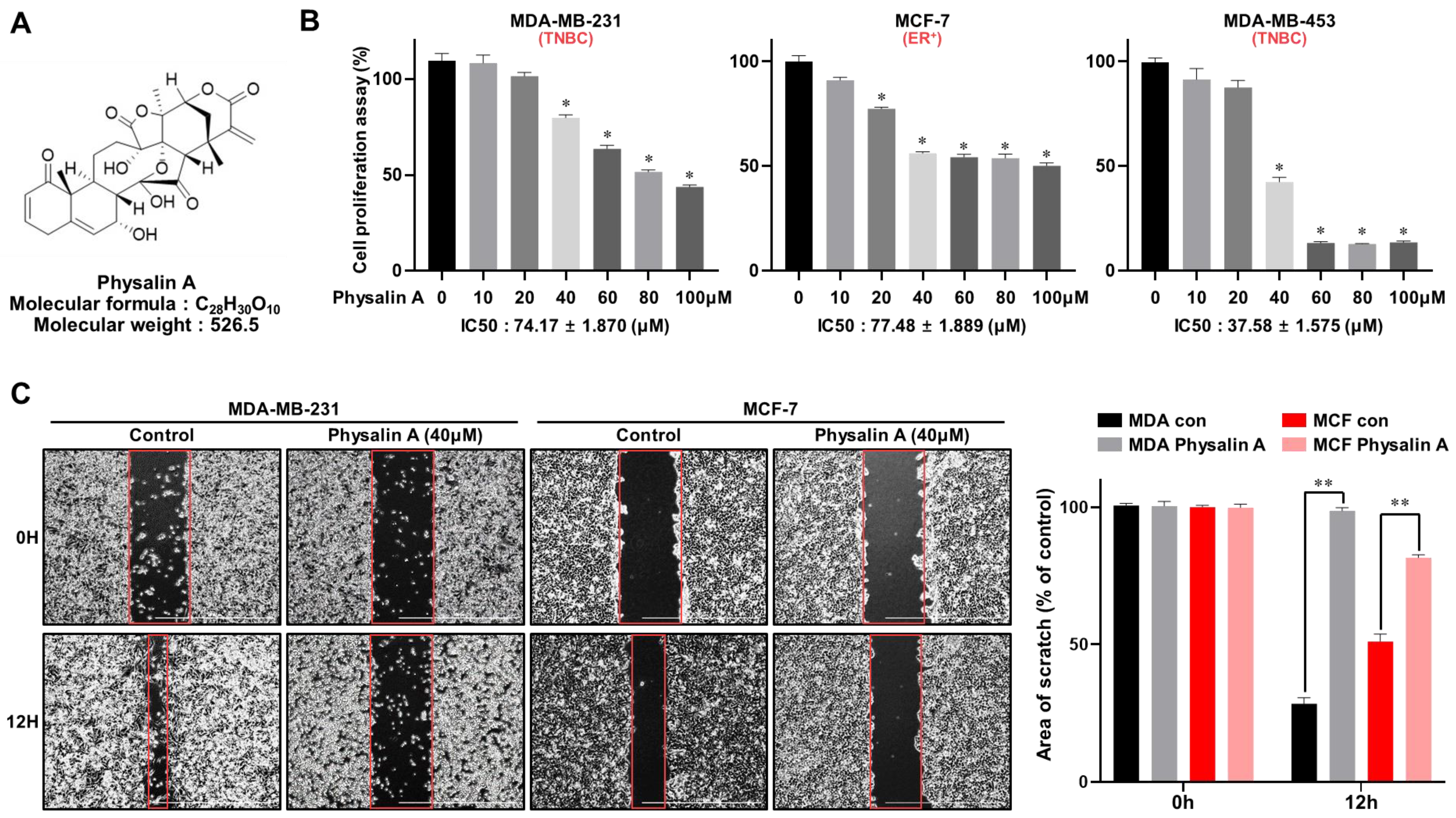 Ijms 22 08718 g001a Ijms 22 08718 g001a