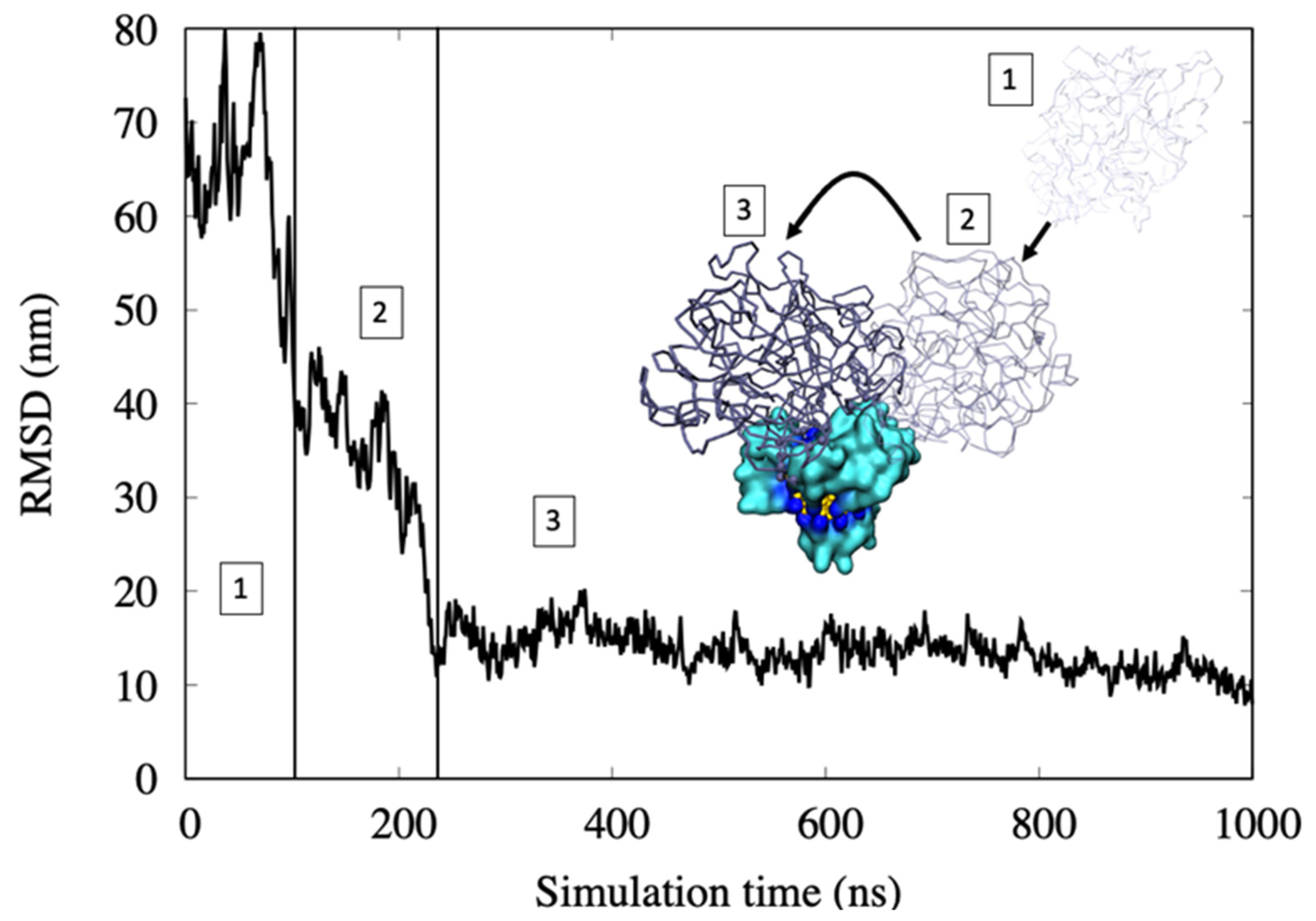 Ijms 22 08722 g005 550