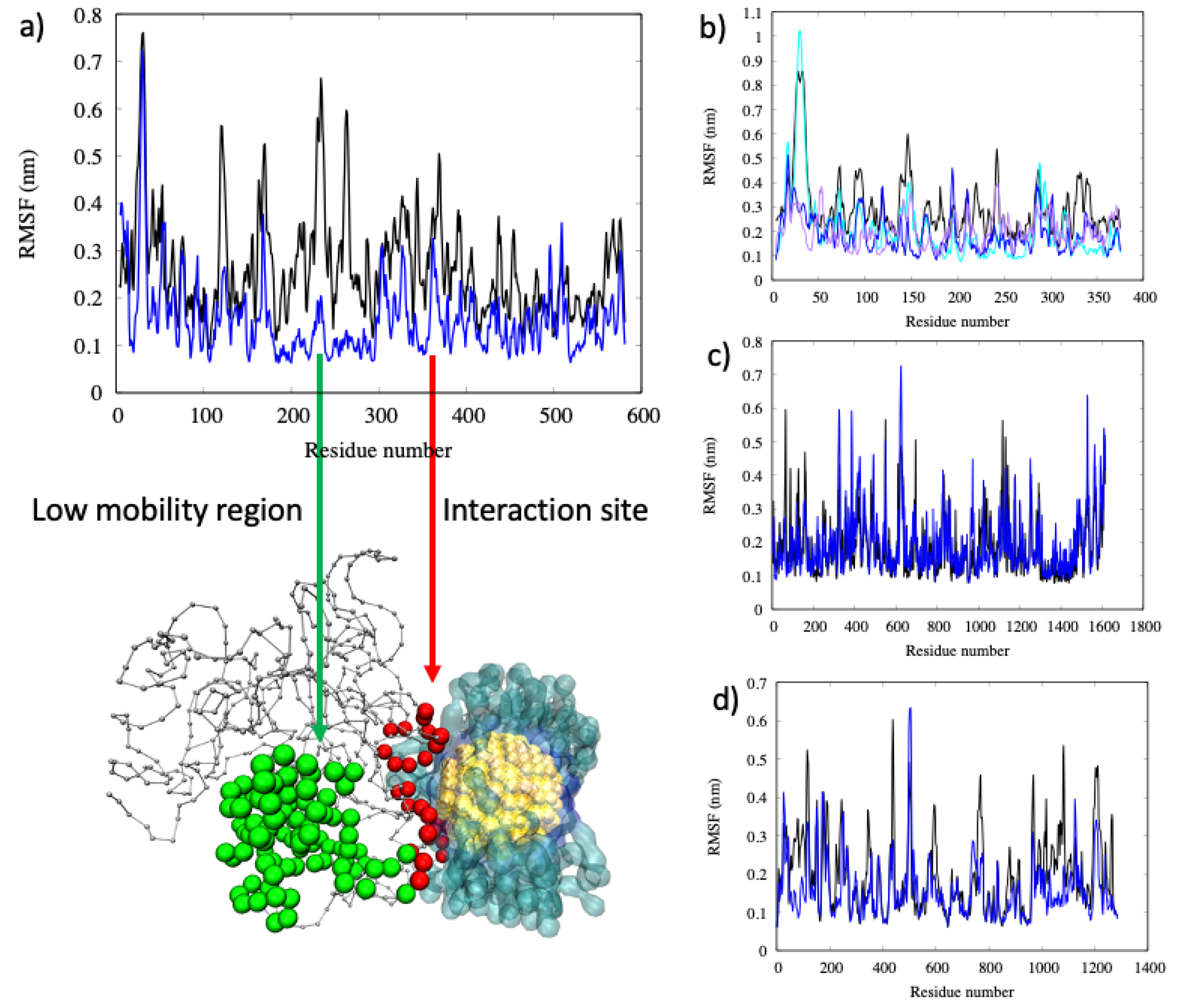 Ijms 22 08722 g006 550