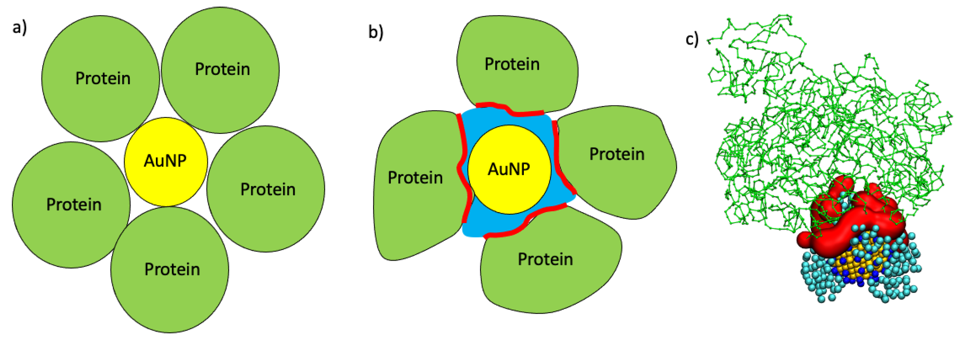 Ijms 22 08722 g007 550