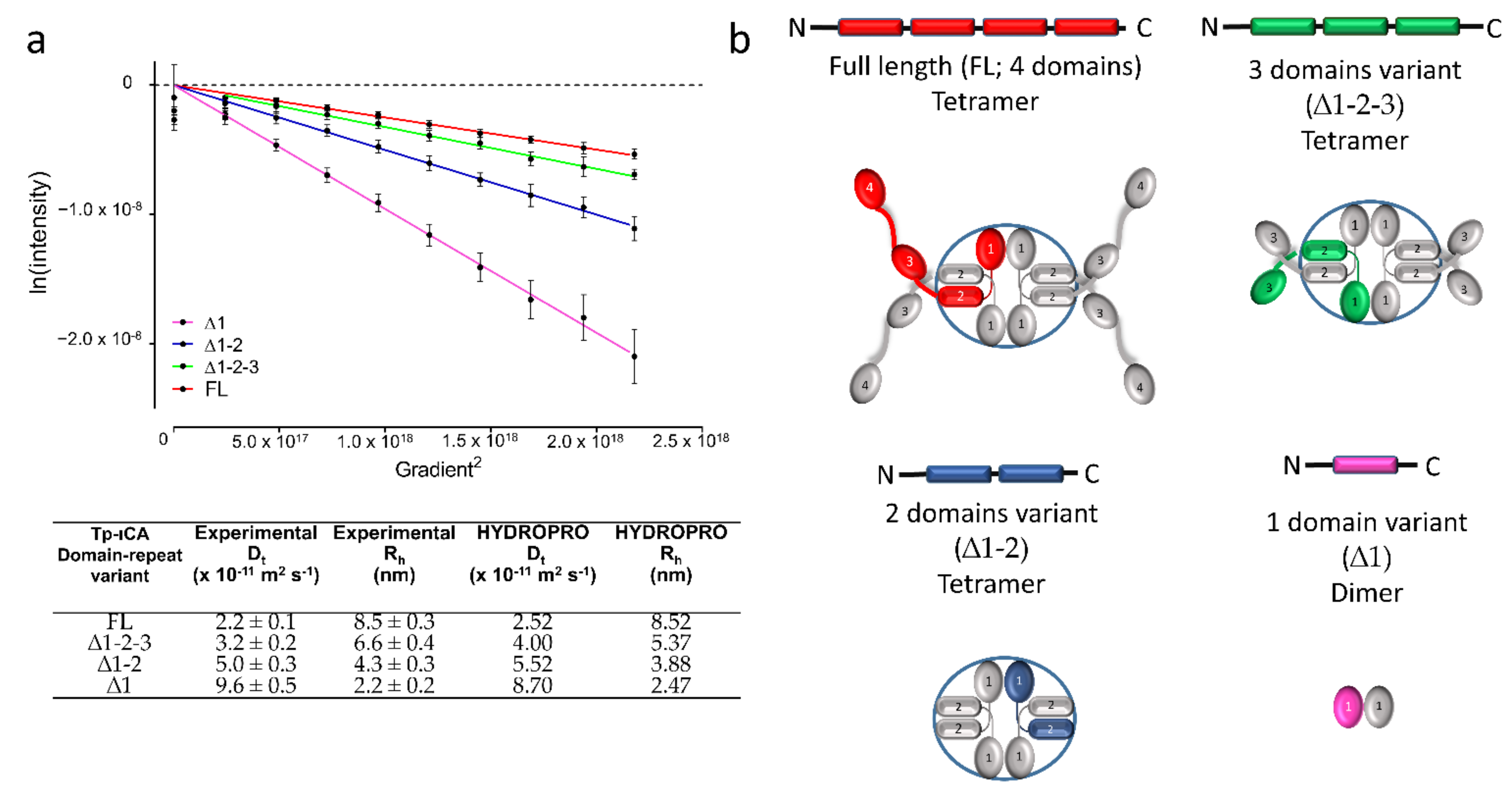 Ijms 22 08723 g005 550