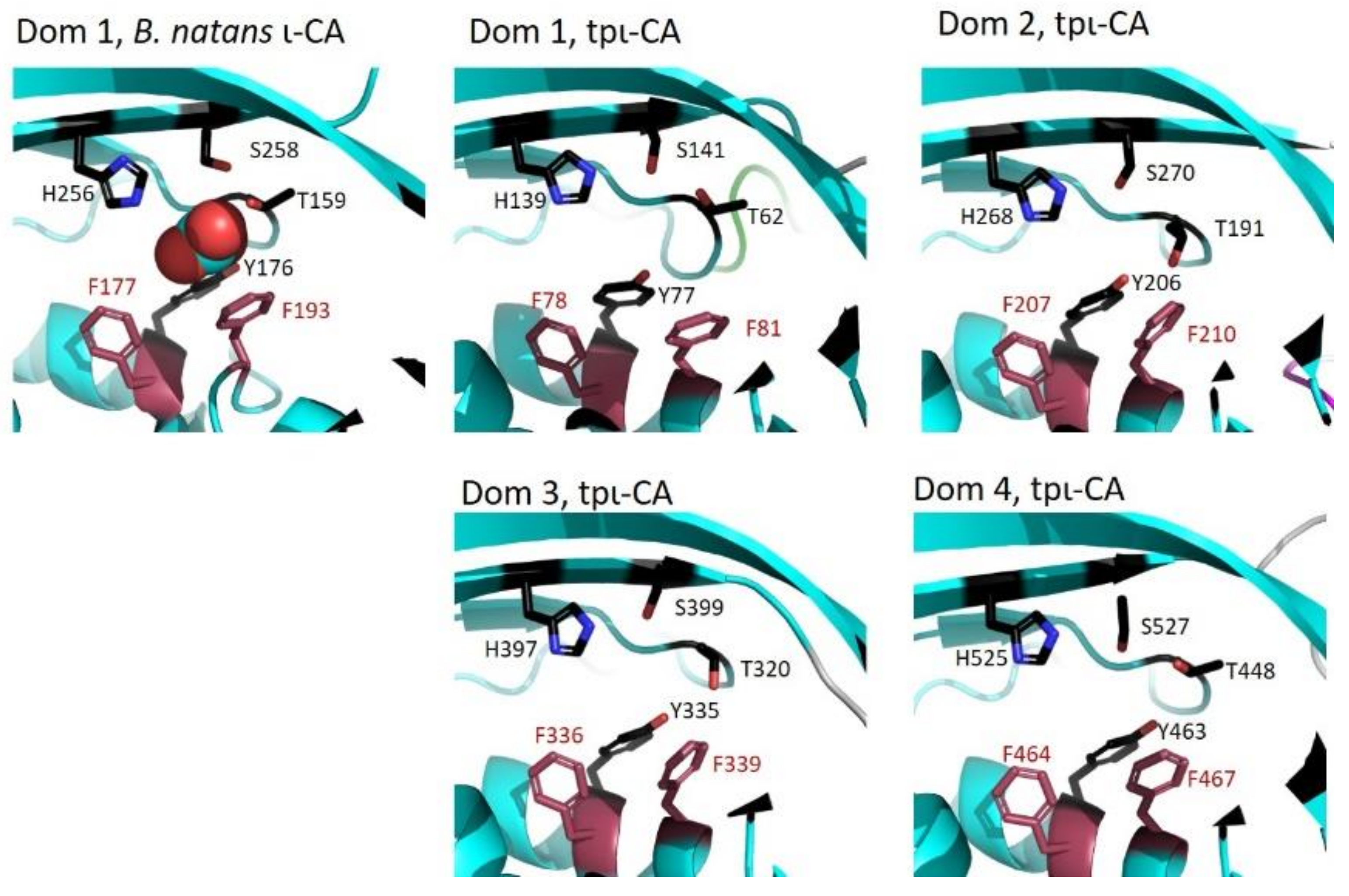 Ijms 22 08723 g007 550