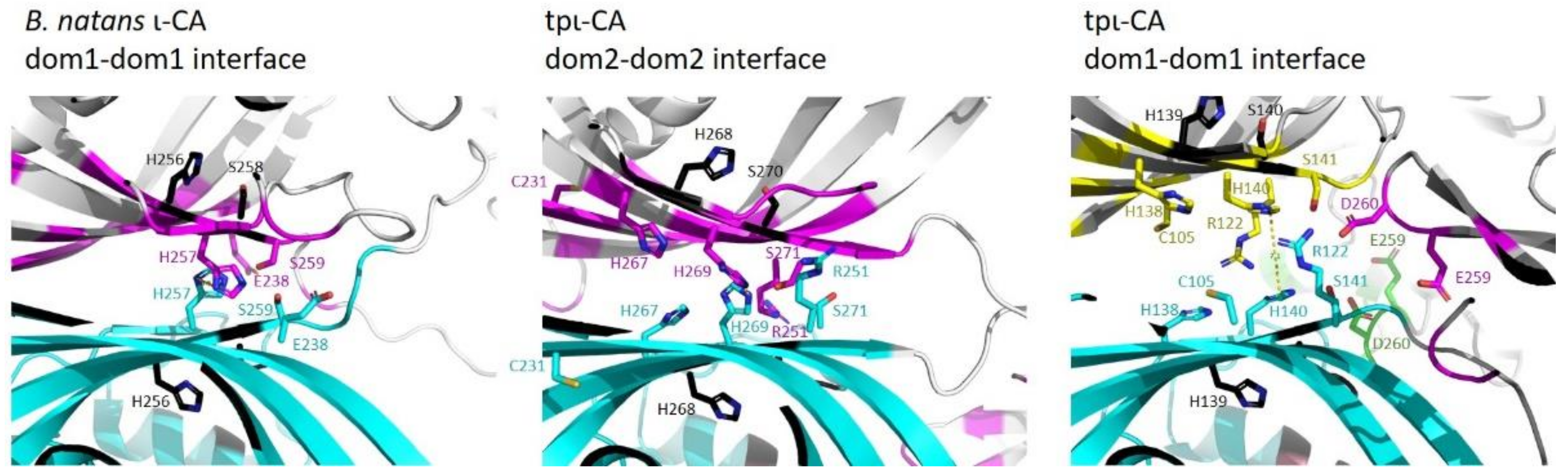 Ijms 22 08723 g008 550