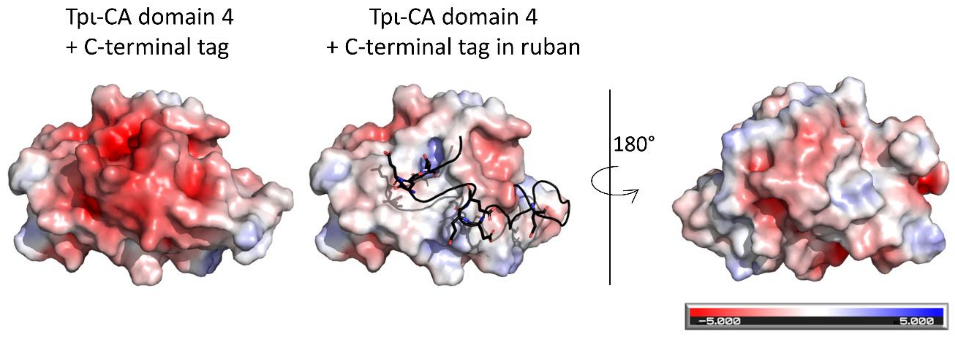 Ijms 22 08723 g009 550