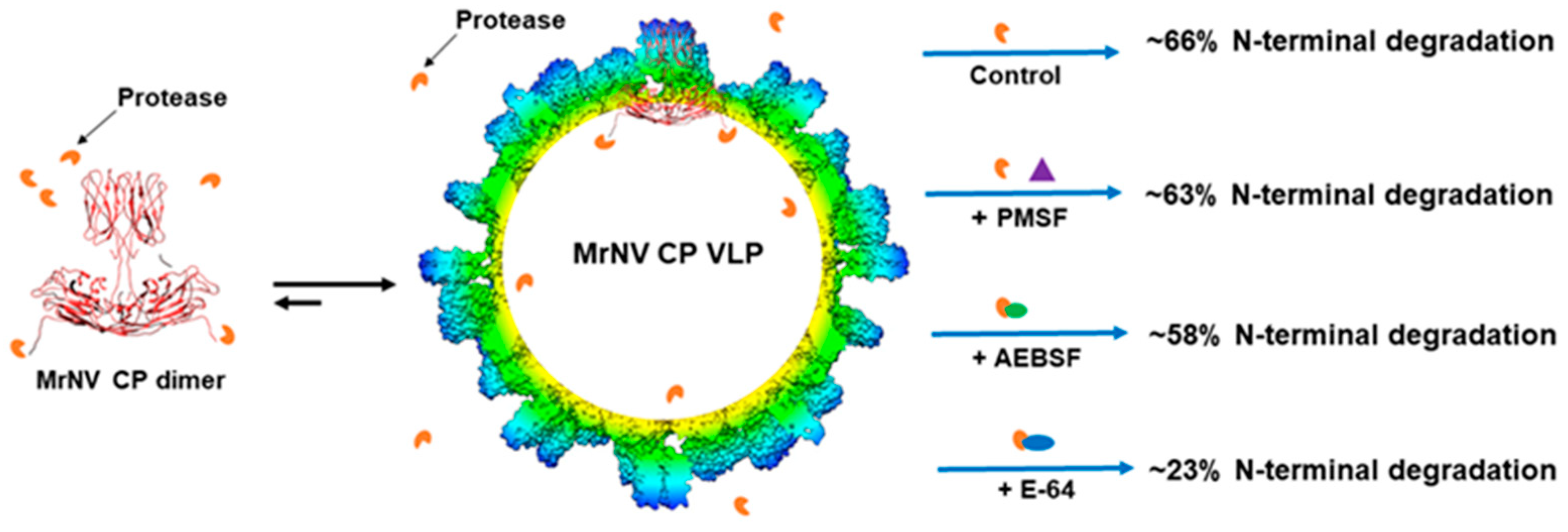 Ijms 22 08725 sch001