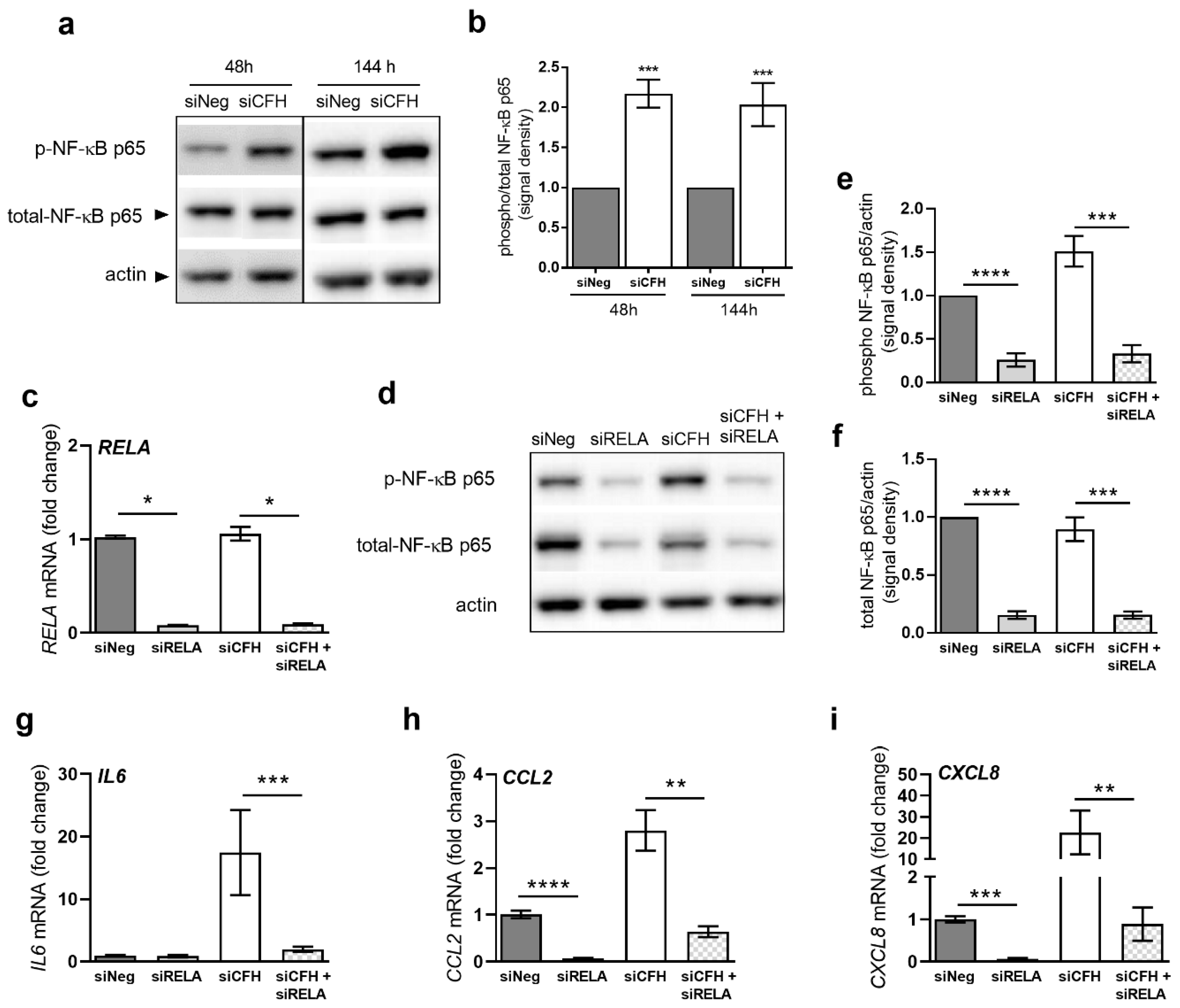 Ijms 22 08727 g002 550