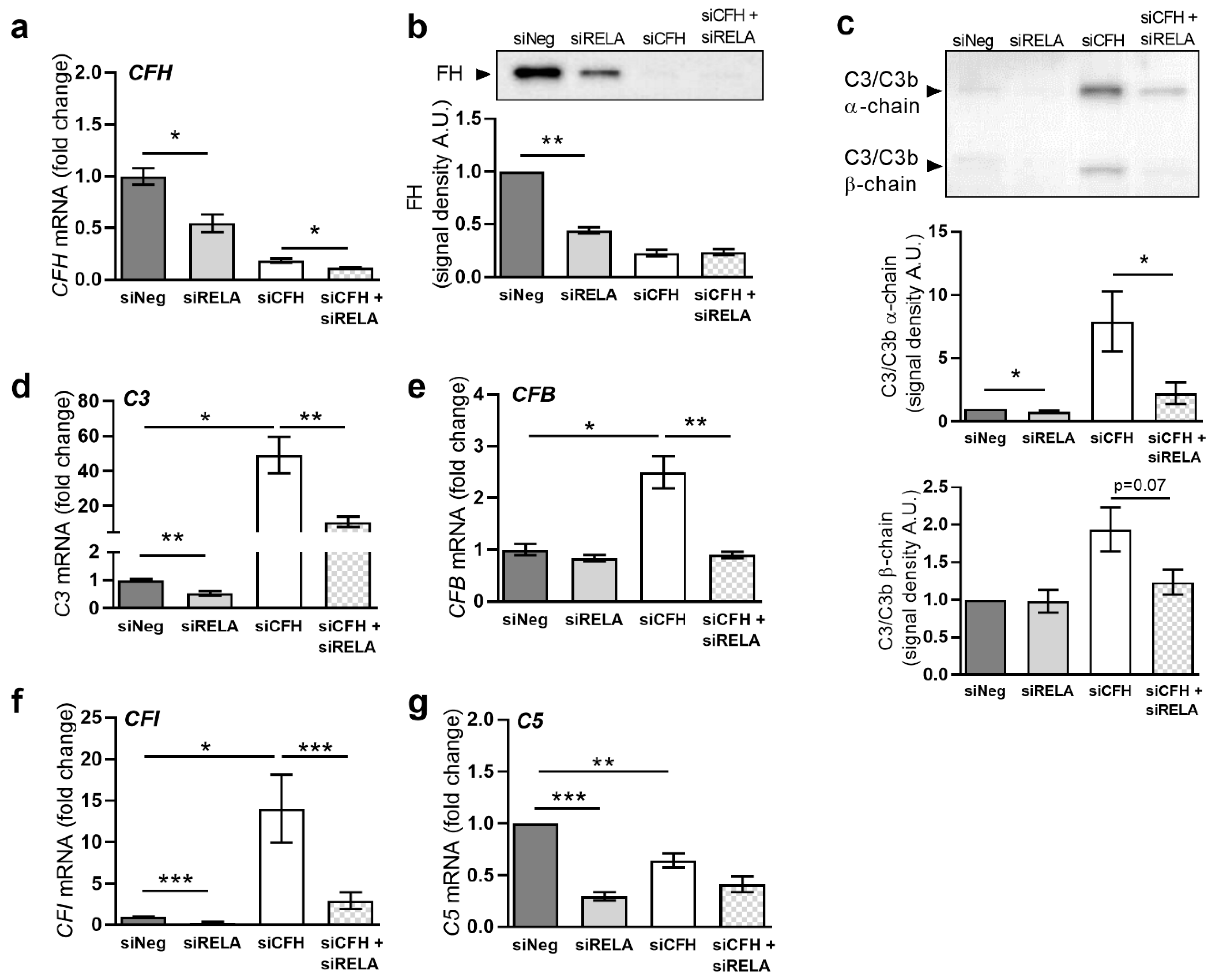 Ijms 22 08727 g004 550