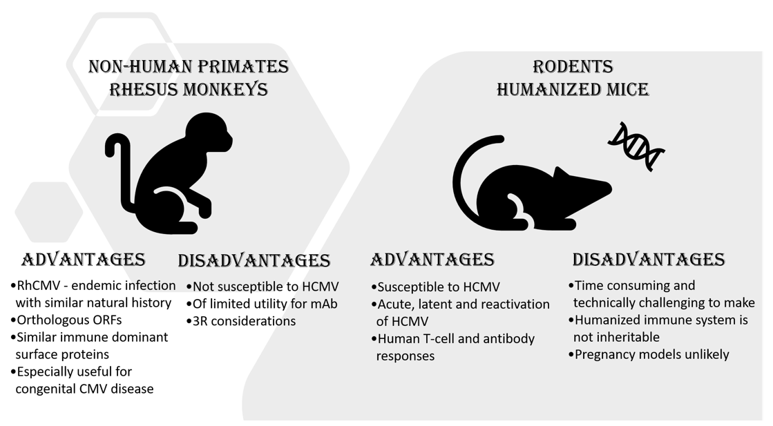 Ijms 22 08728 g001 550