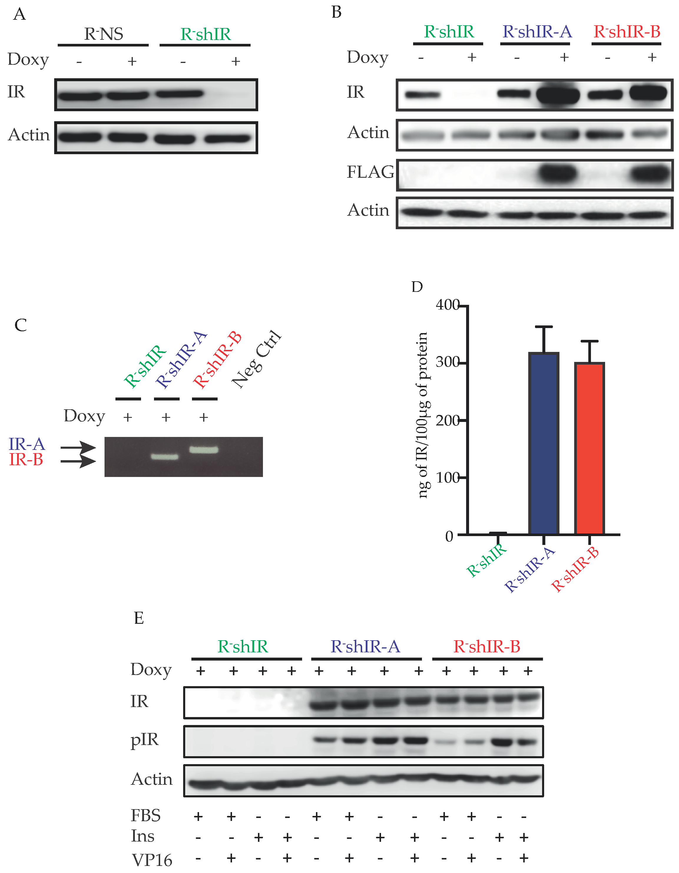 Ijms 22 08729 g001 Ijms 22 08729 g001