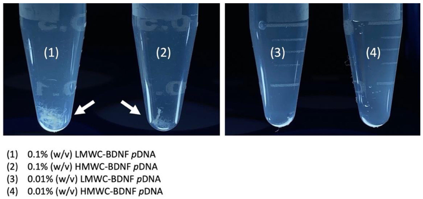 Ijms 22 08741 g001 550