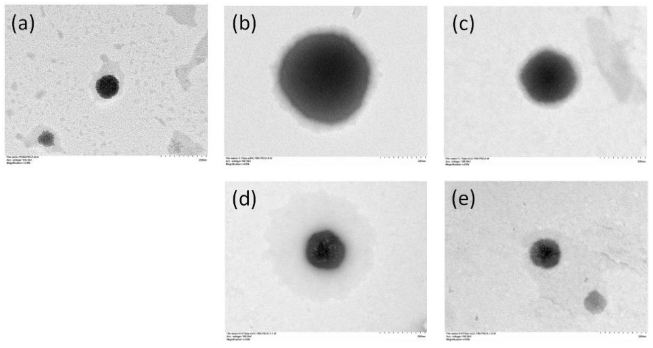 Ijms 22 08741 g004 550