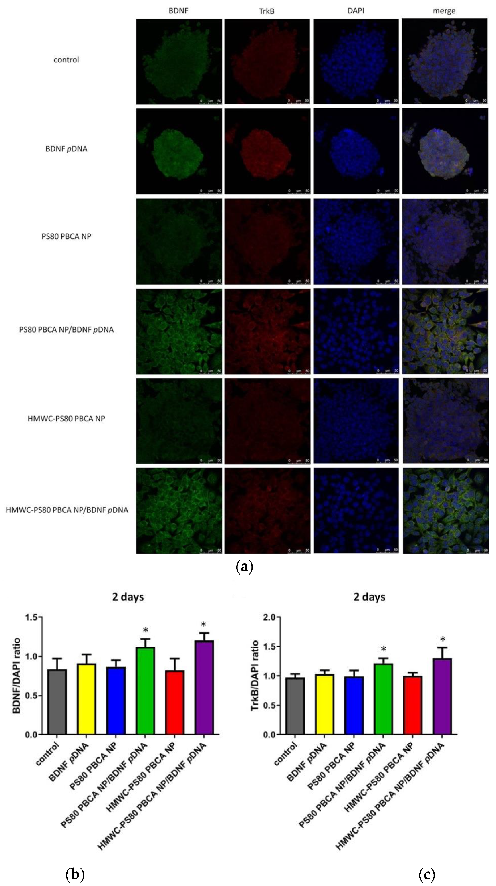 Ijms 22 08741 g010a 550
