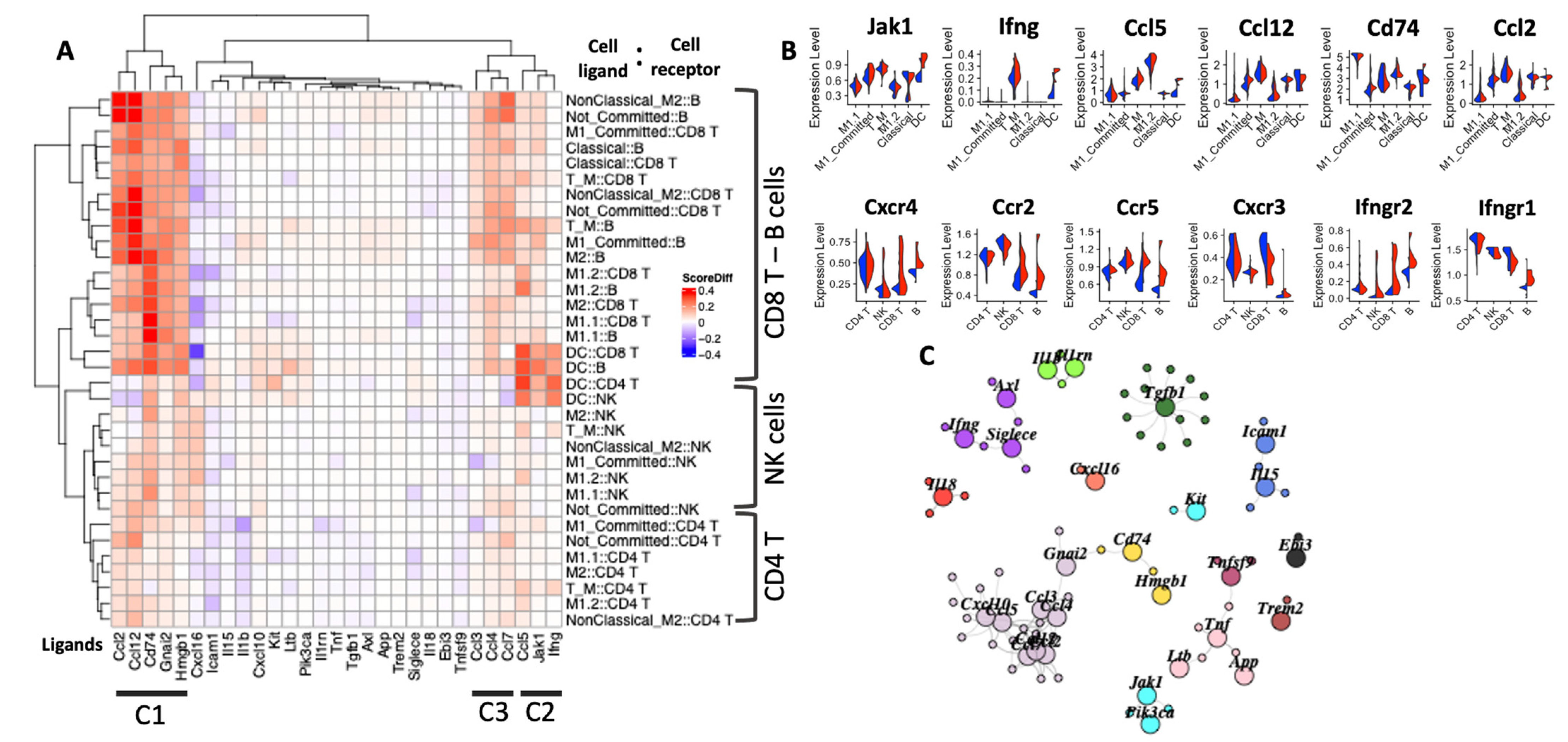 Ijms 22 08742 g005 550