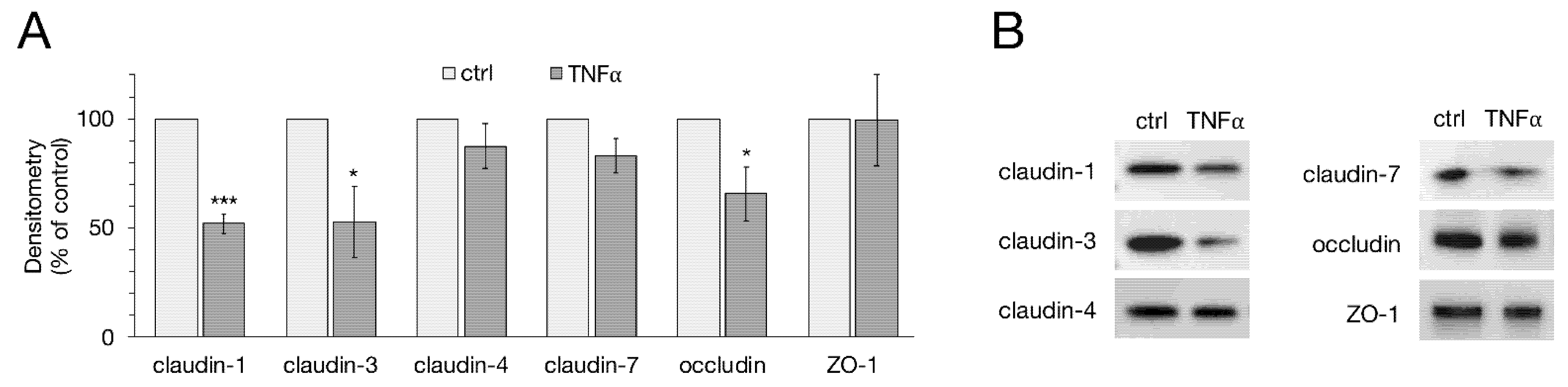 Ijms 22 08746 g002 550