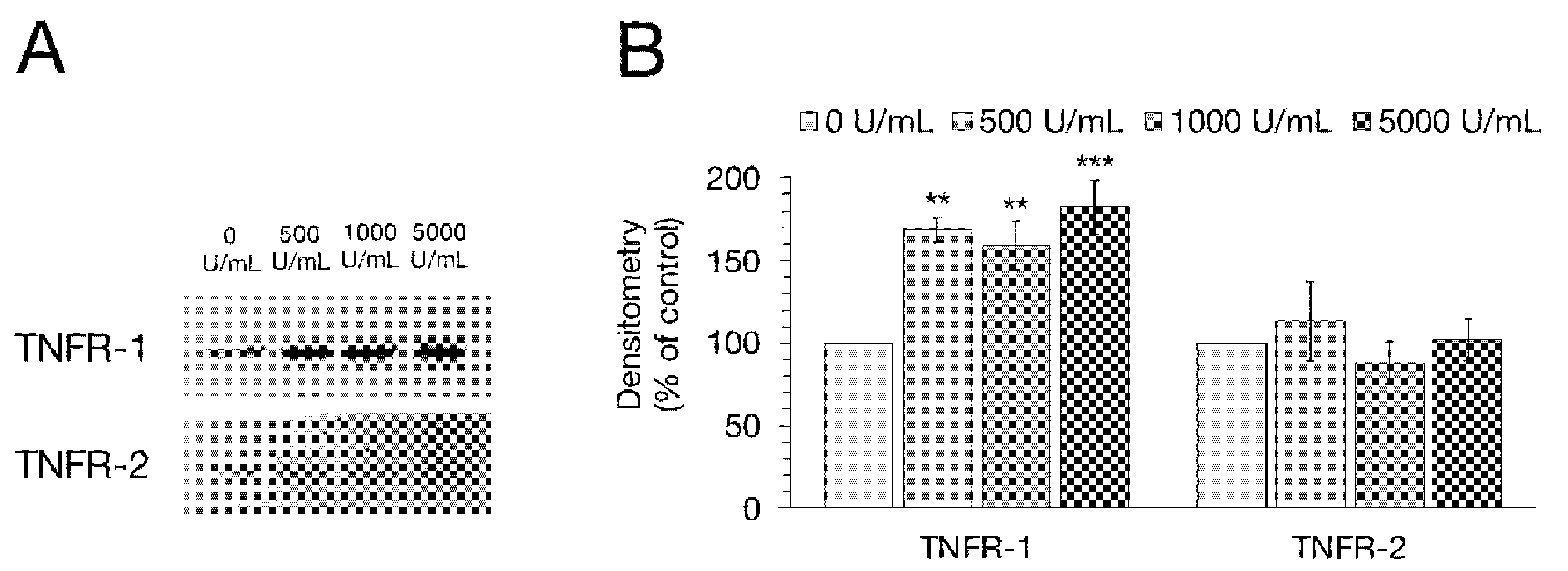Ijms 22 08746 g004 550