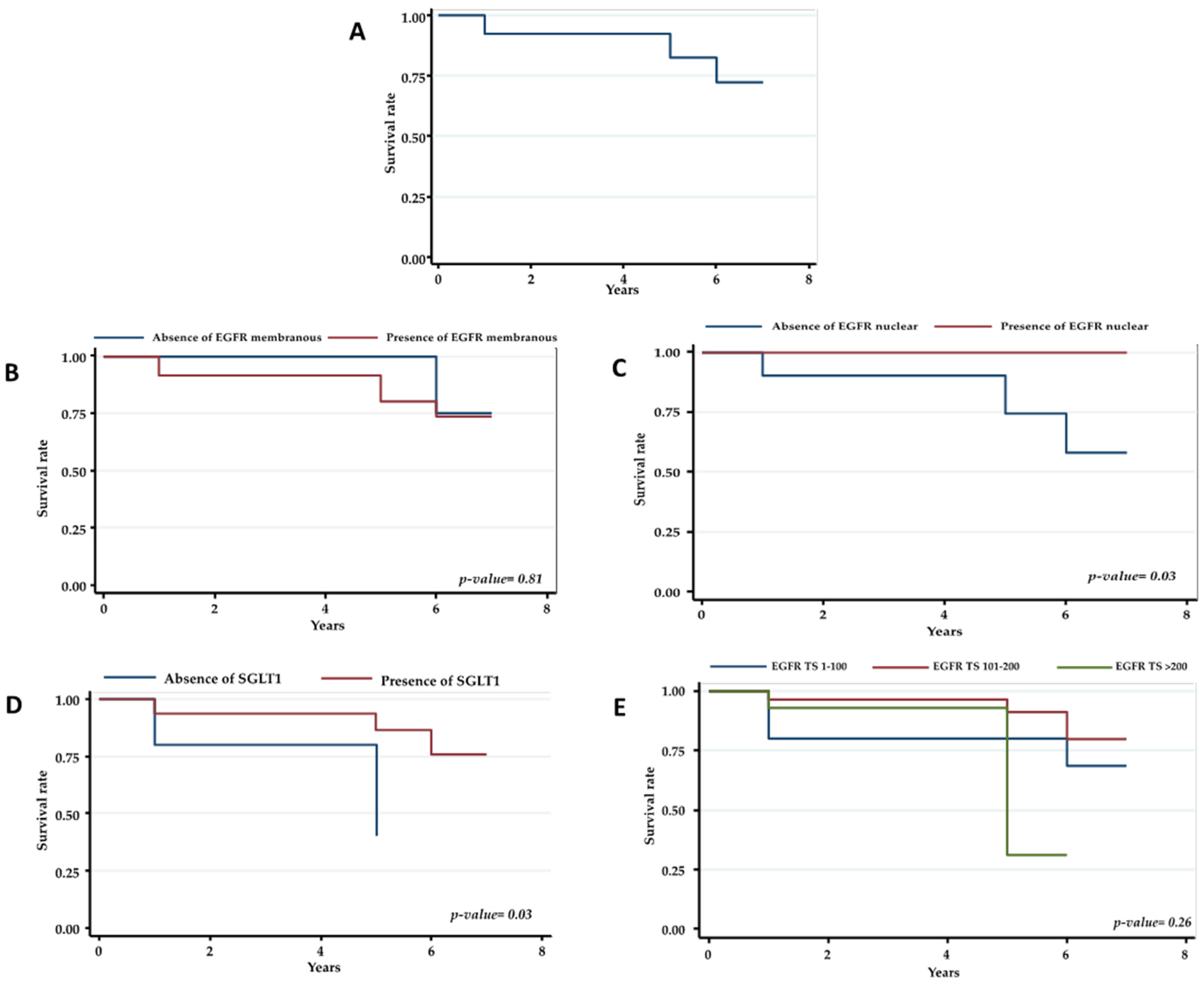 Ijms 22 08747 g002 550