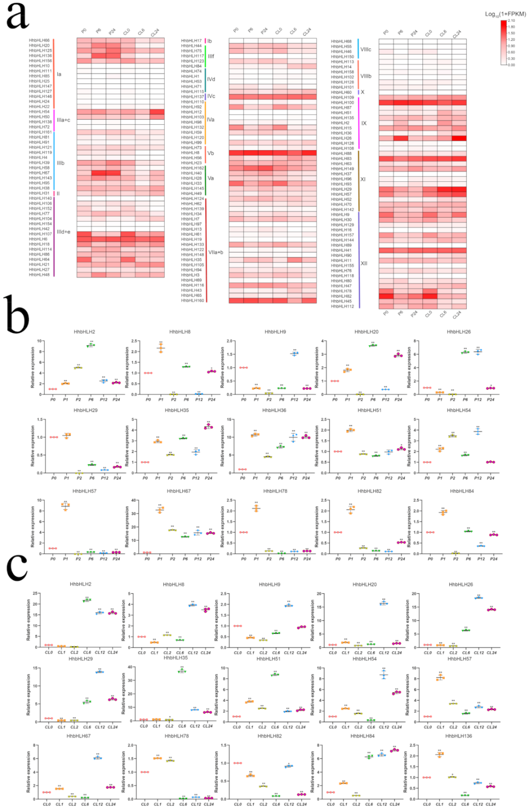 Ijms 22 08748 g007 550