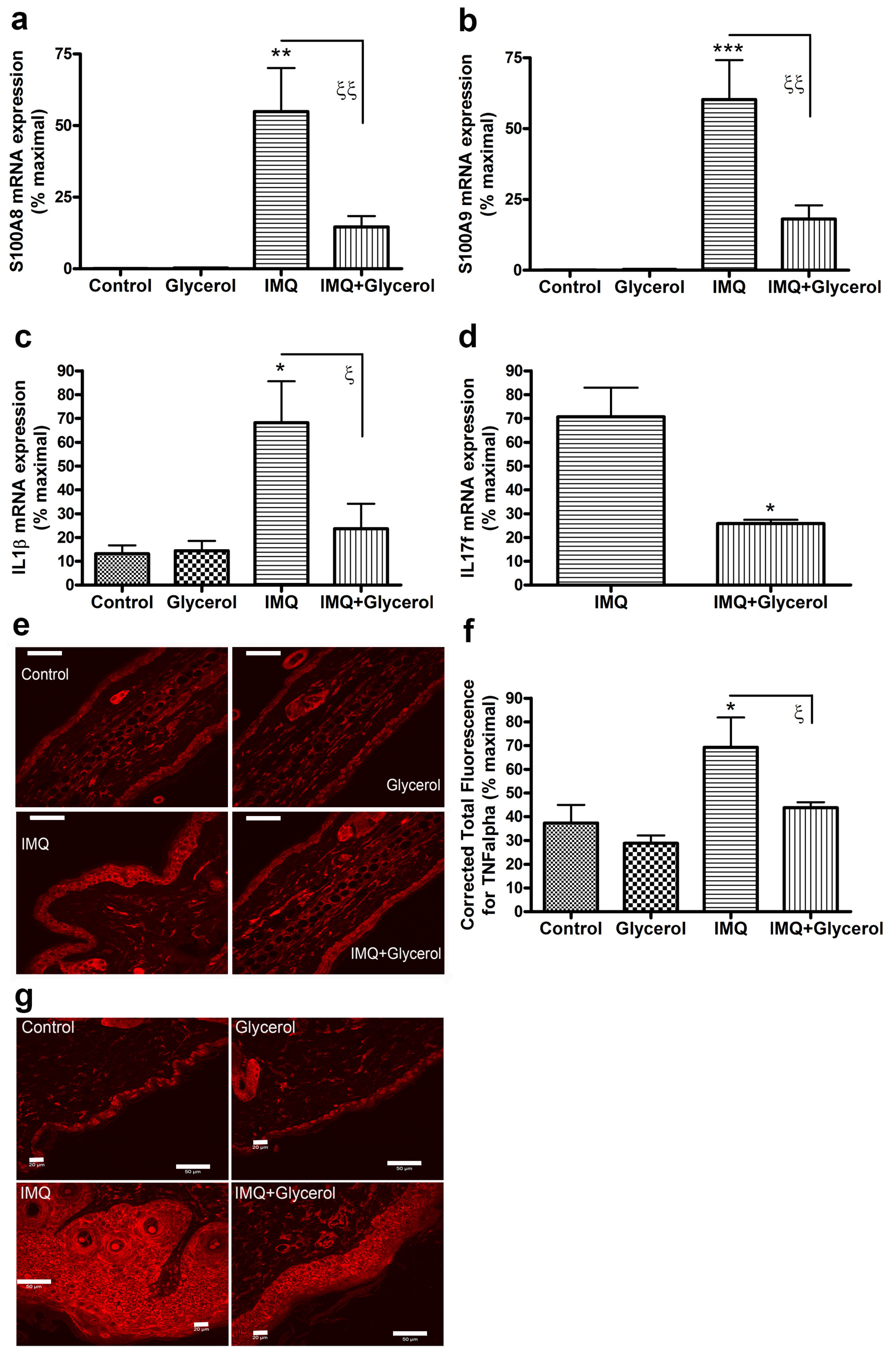 Ijms 22 08749 g005 Ijms 22 08749 g005