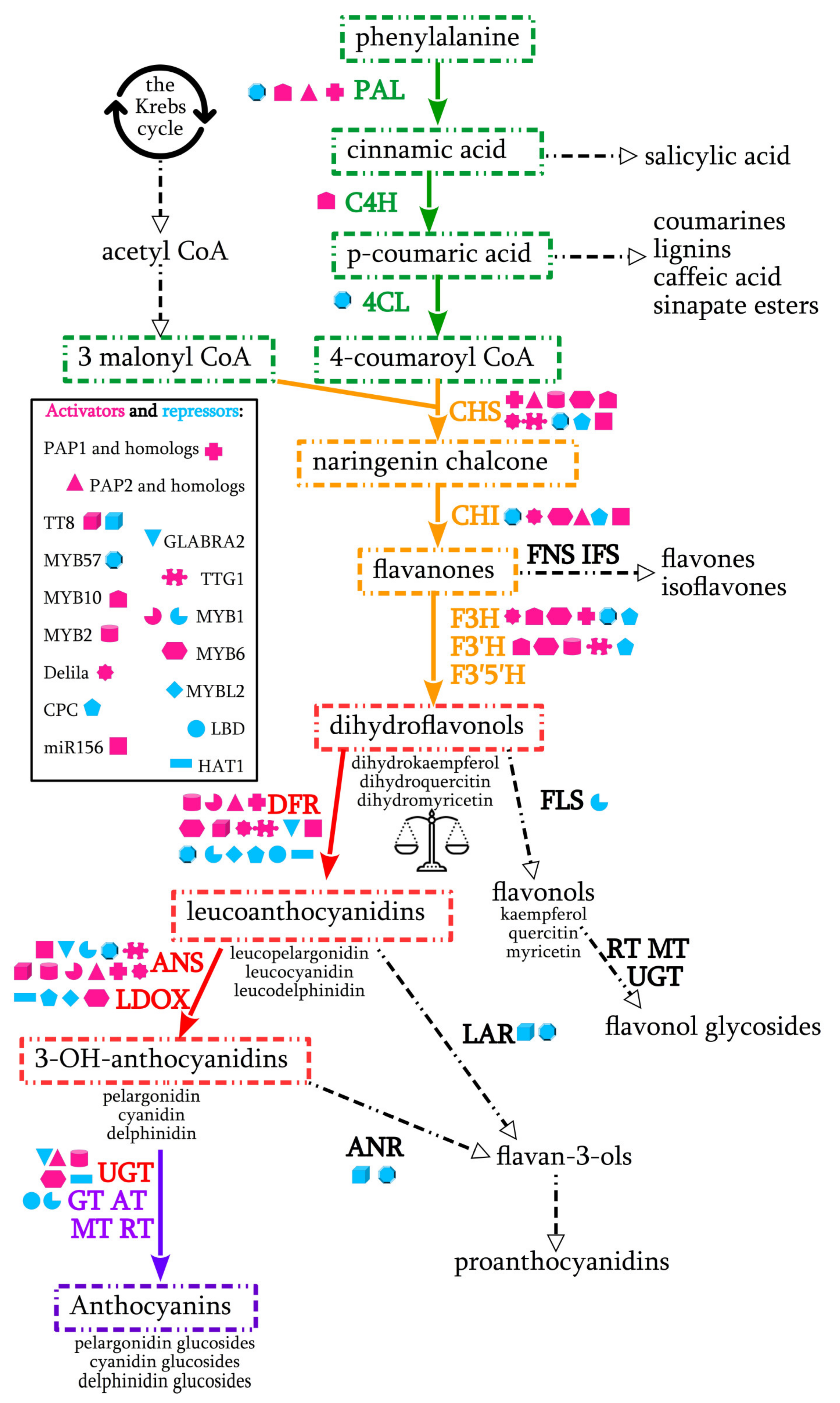 Ijms 22 08752 g001 550
