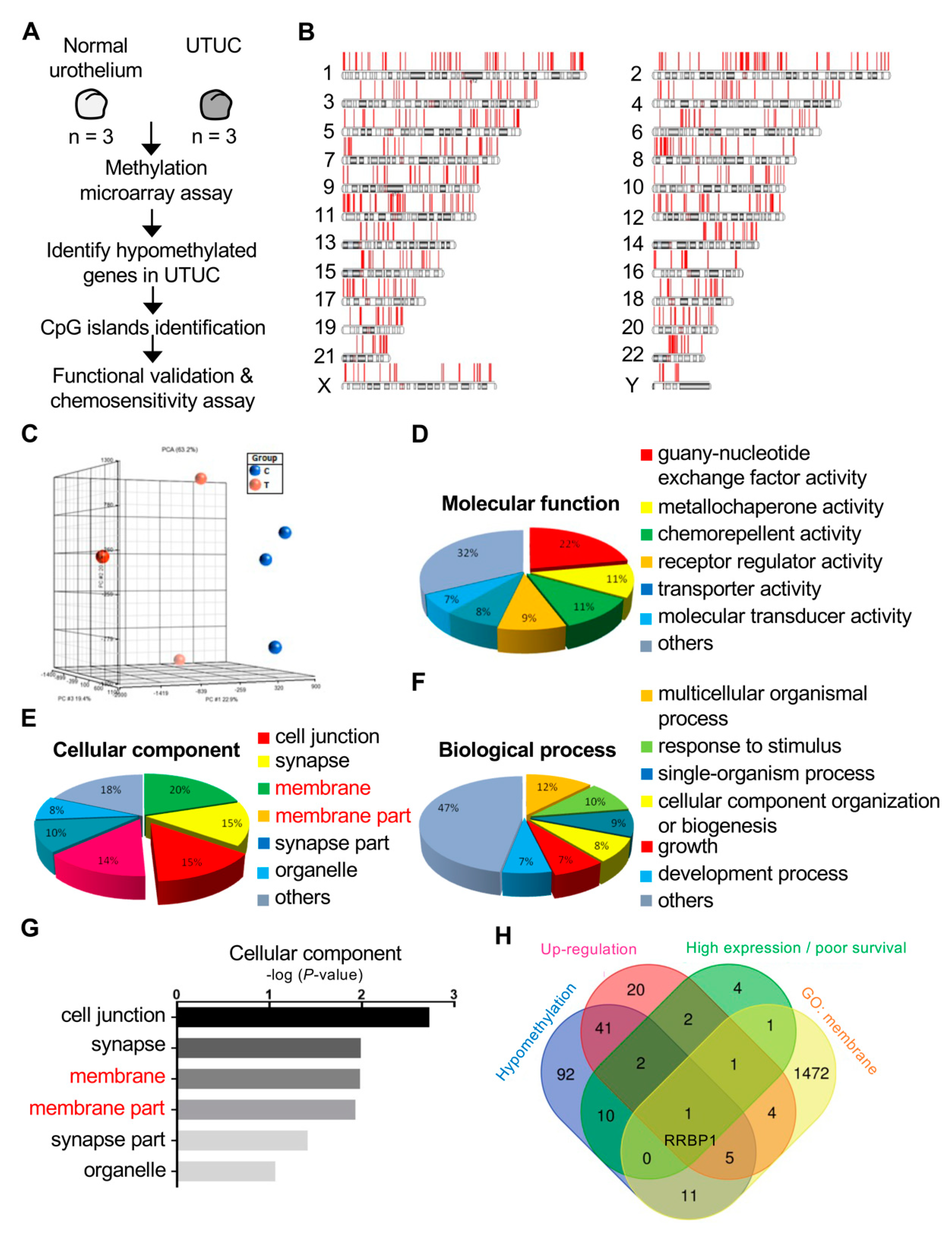 Ijms 22 08761 g001 550
