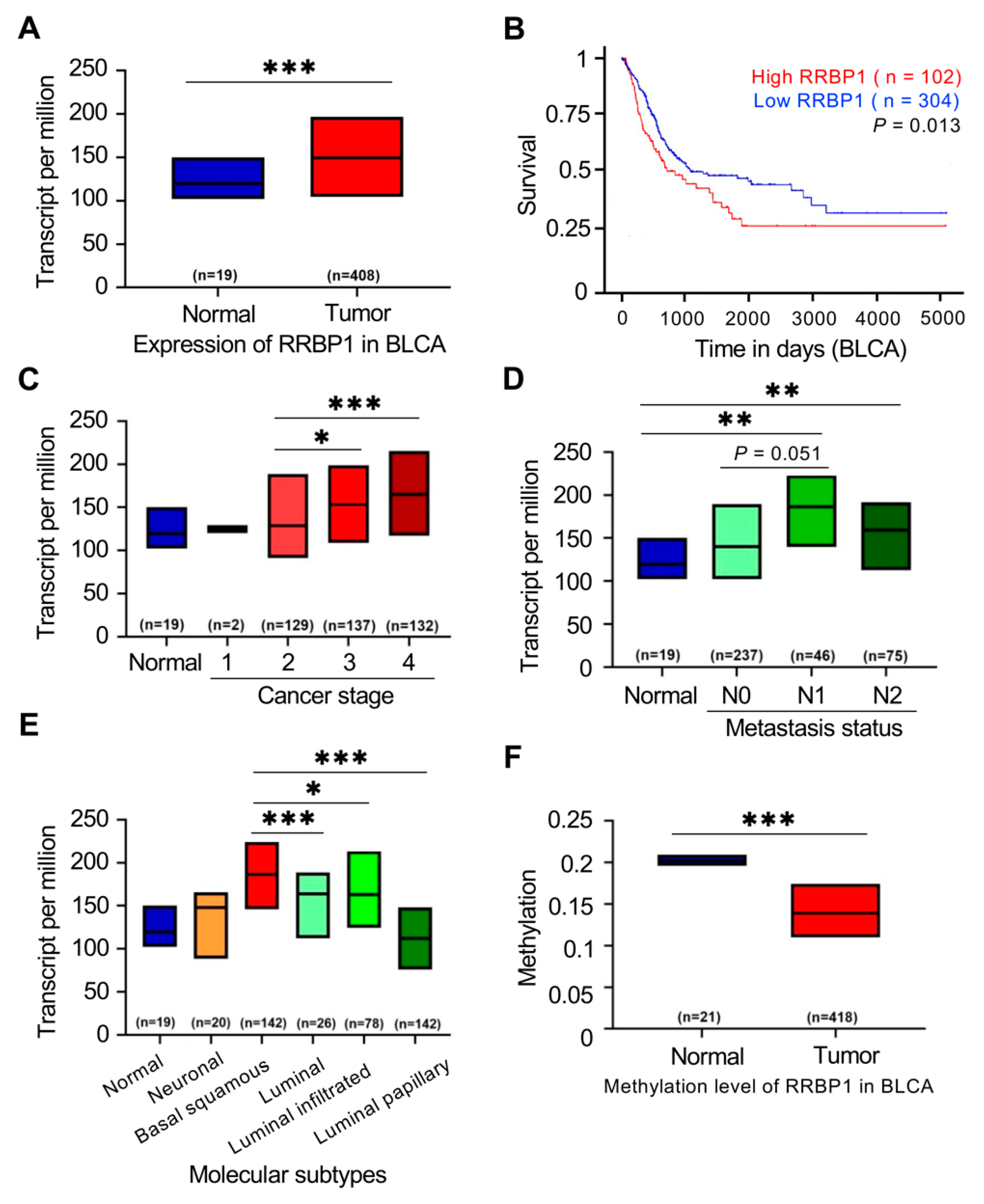 Ijms 22 08761 g002 550