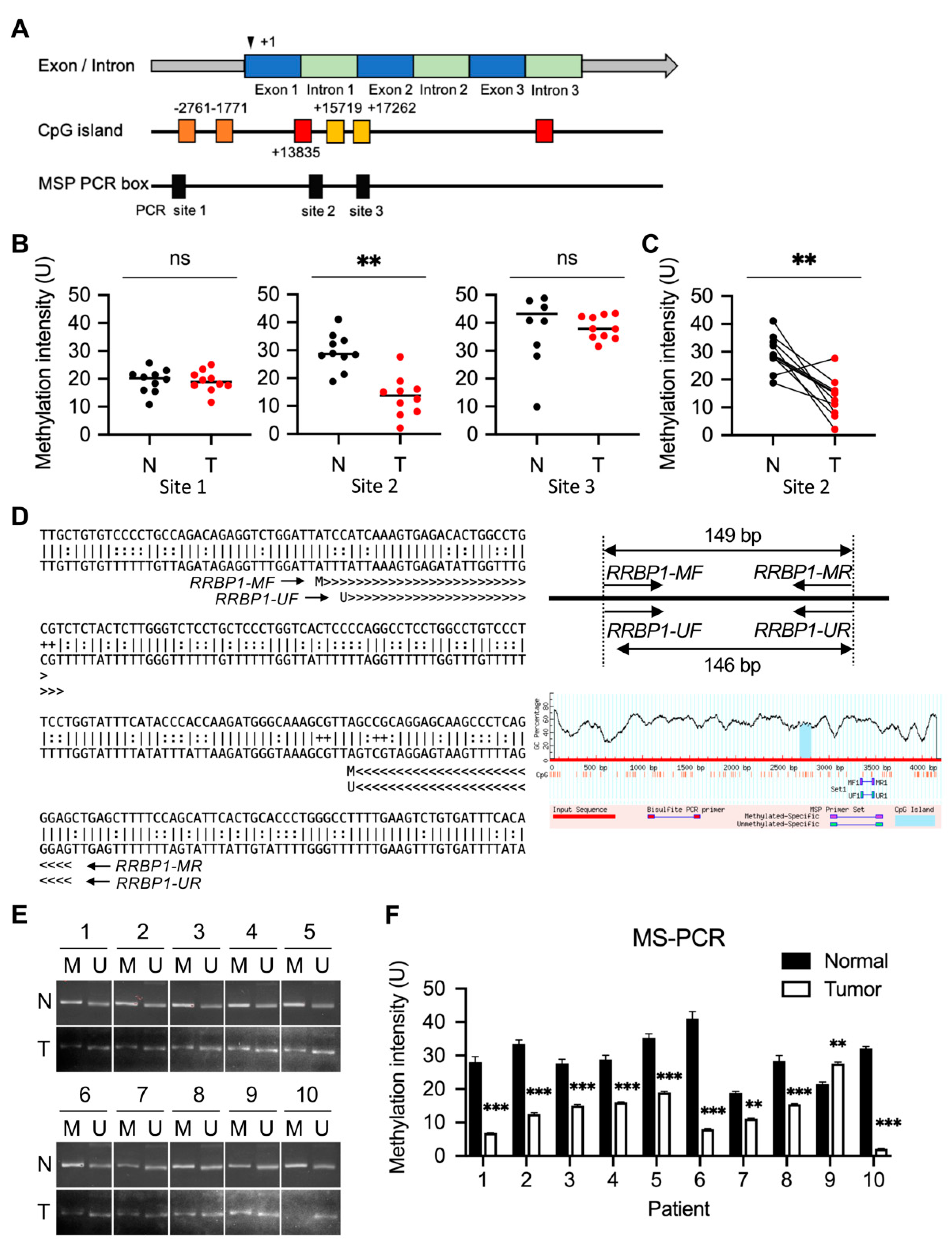 Ijms 22 08761 g003 550