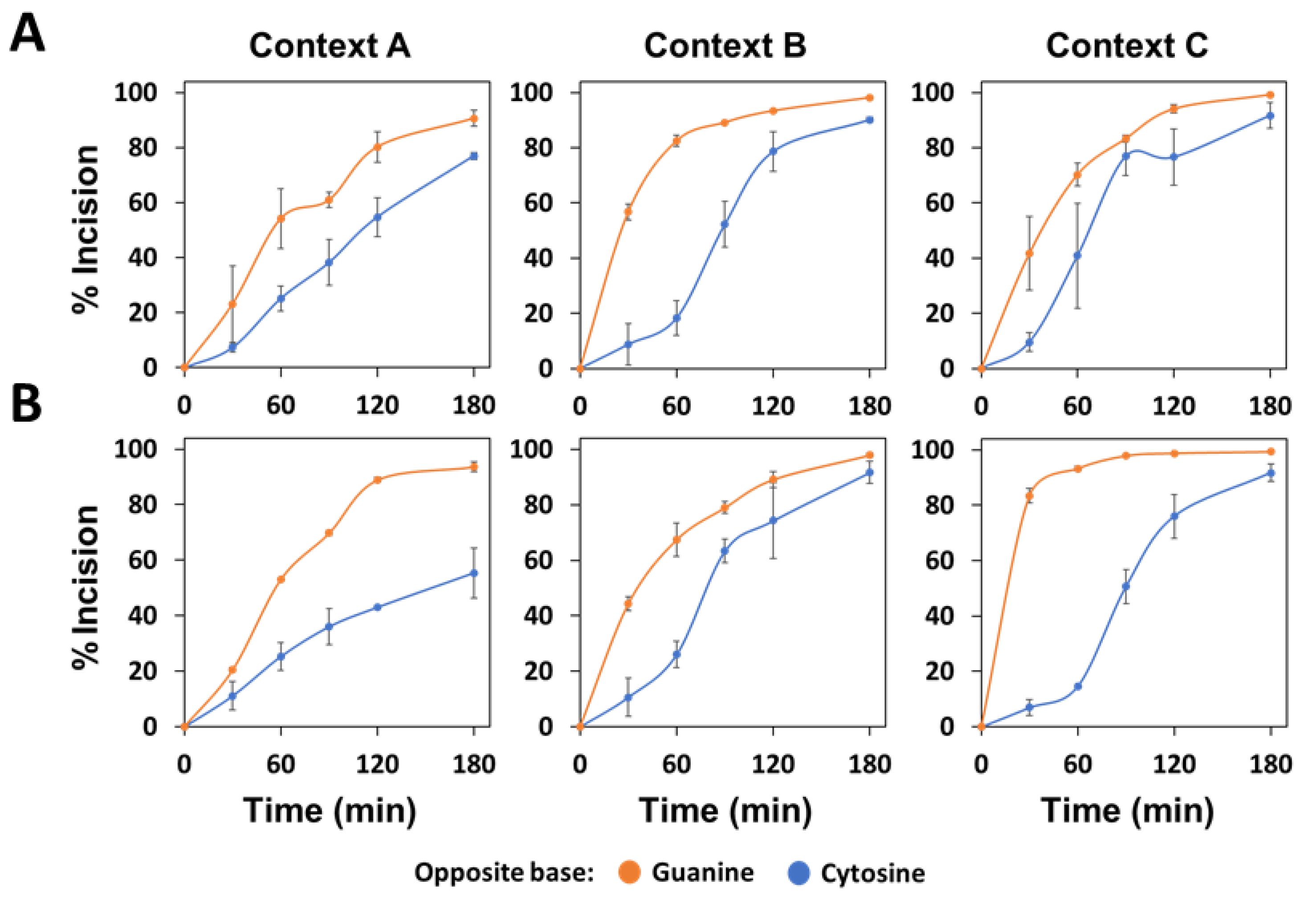 Ijms 22 08763 g002 550