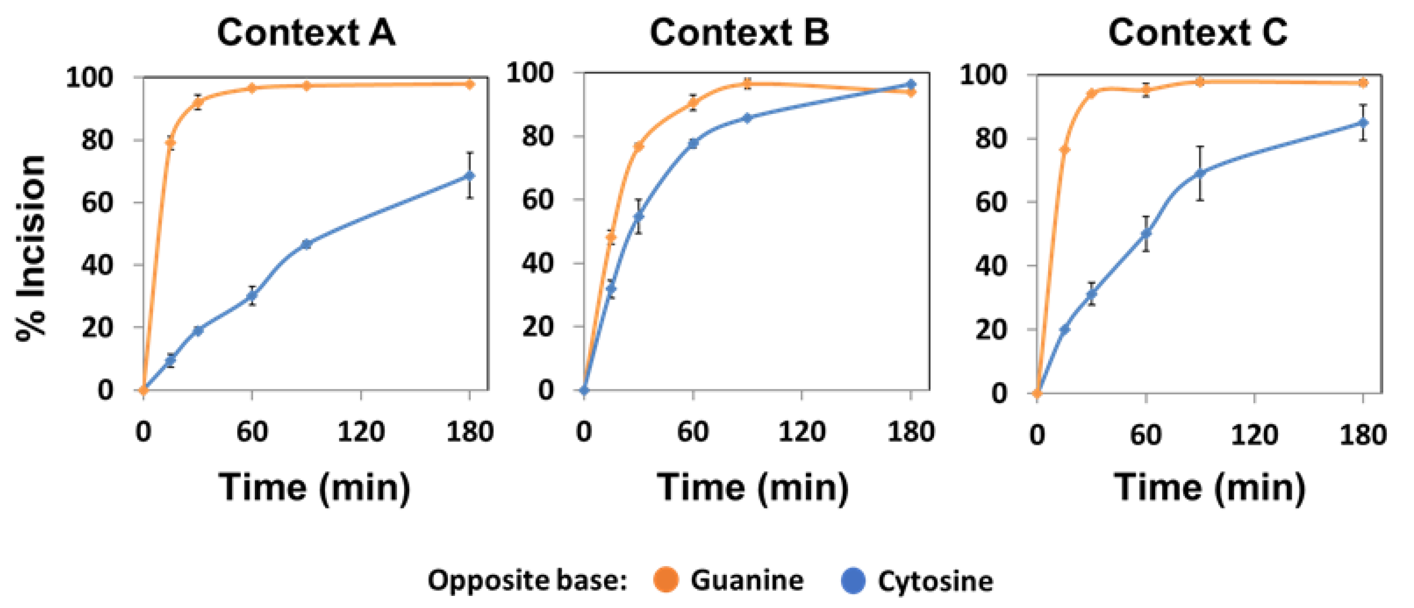 Ijms 22 08763 g004 550