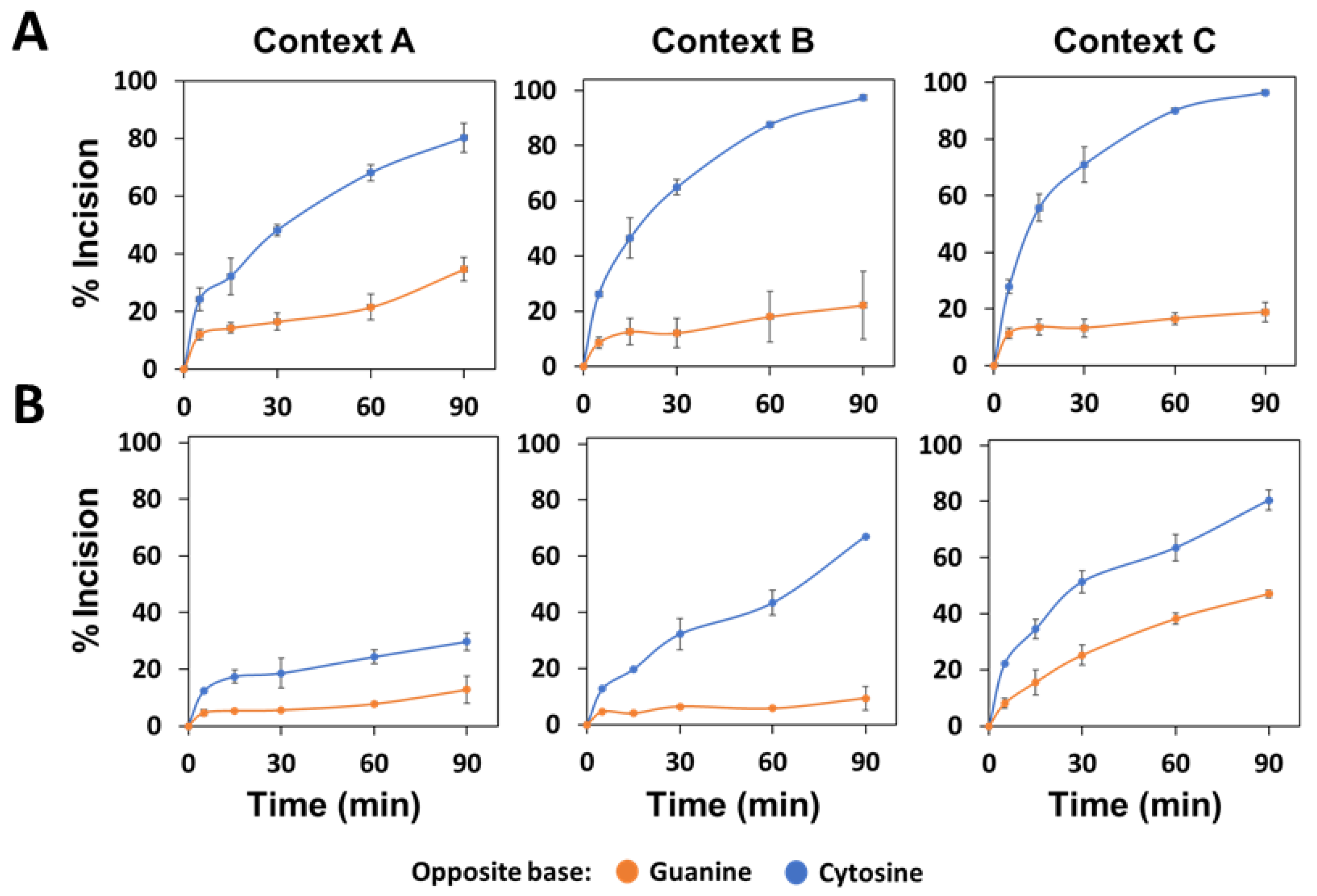 Ijms 22 08763 g005 550