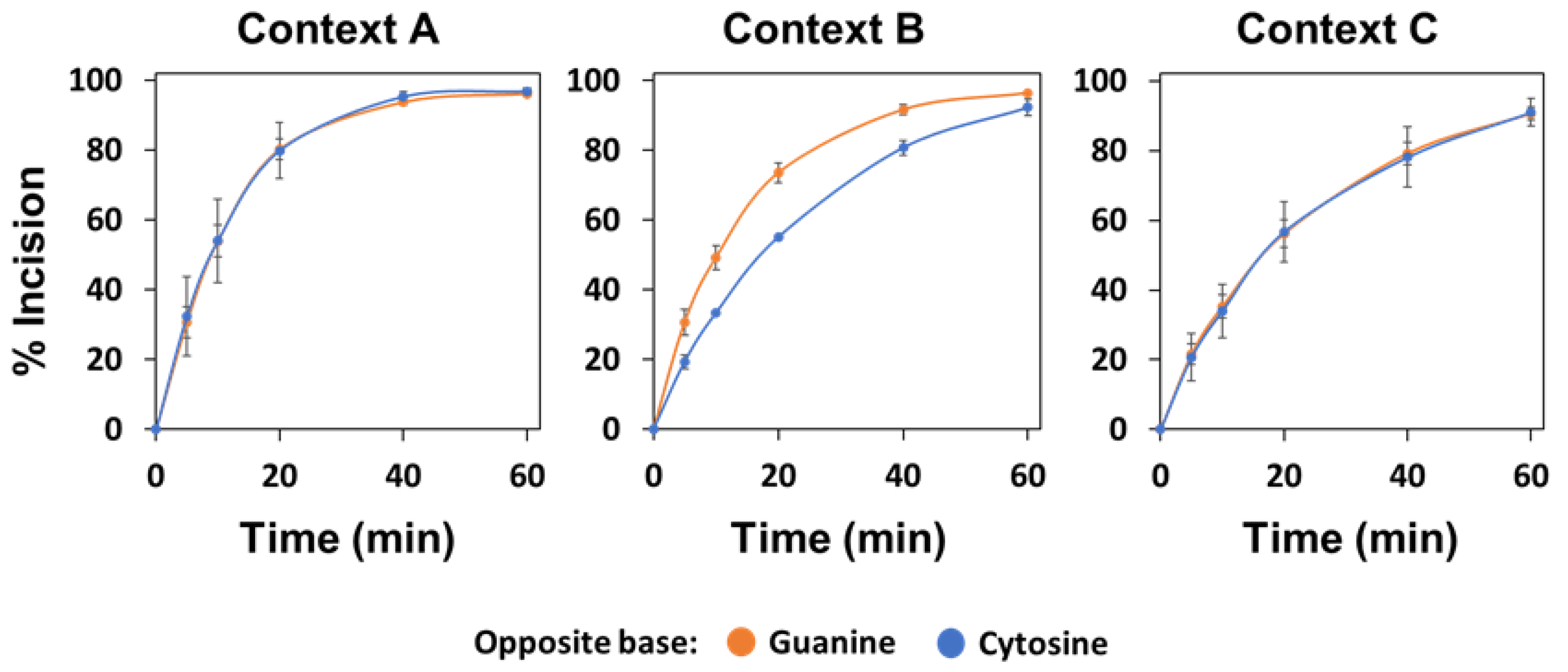 Ijms 22 08763 g007 550