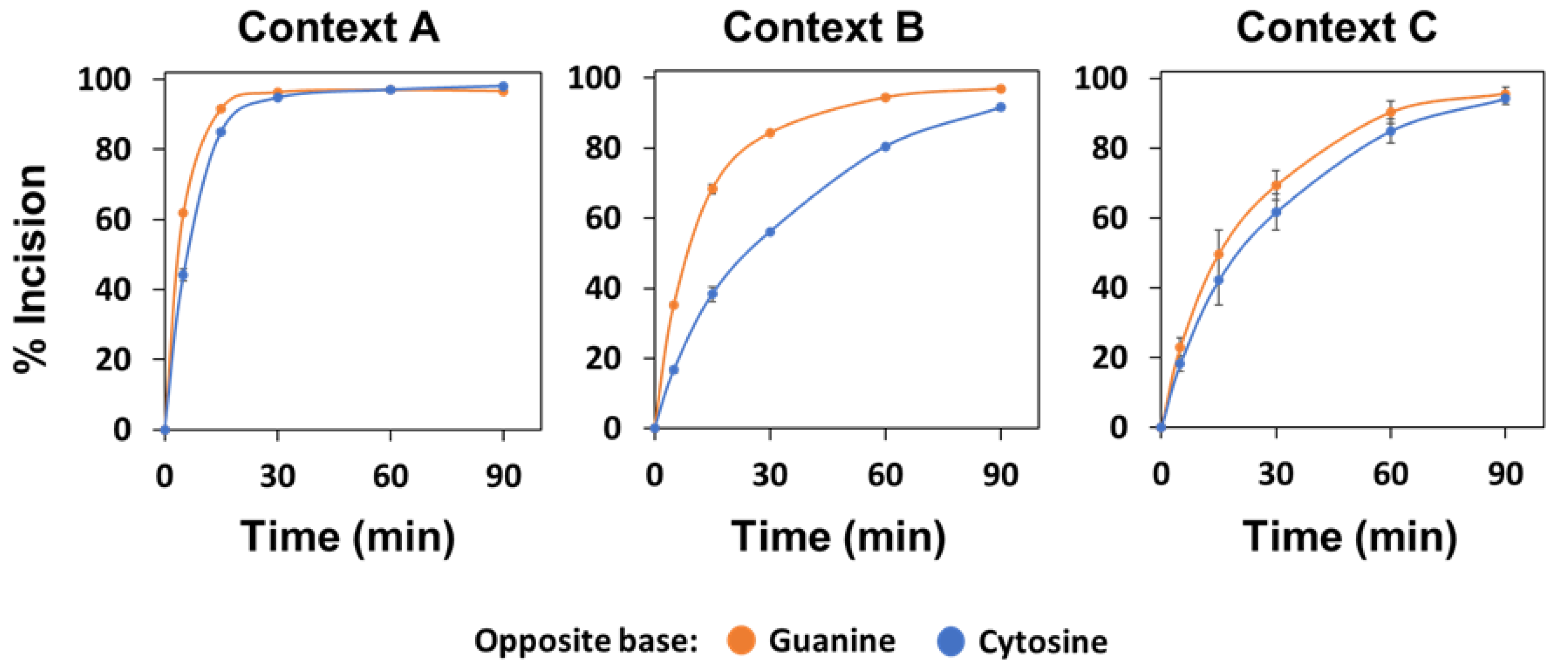 Ijms 22 08763 g008 550