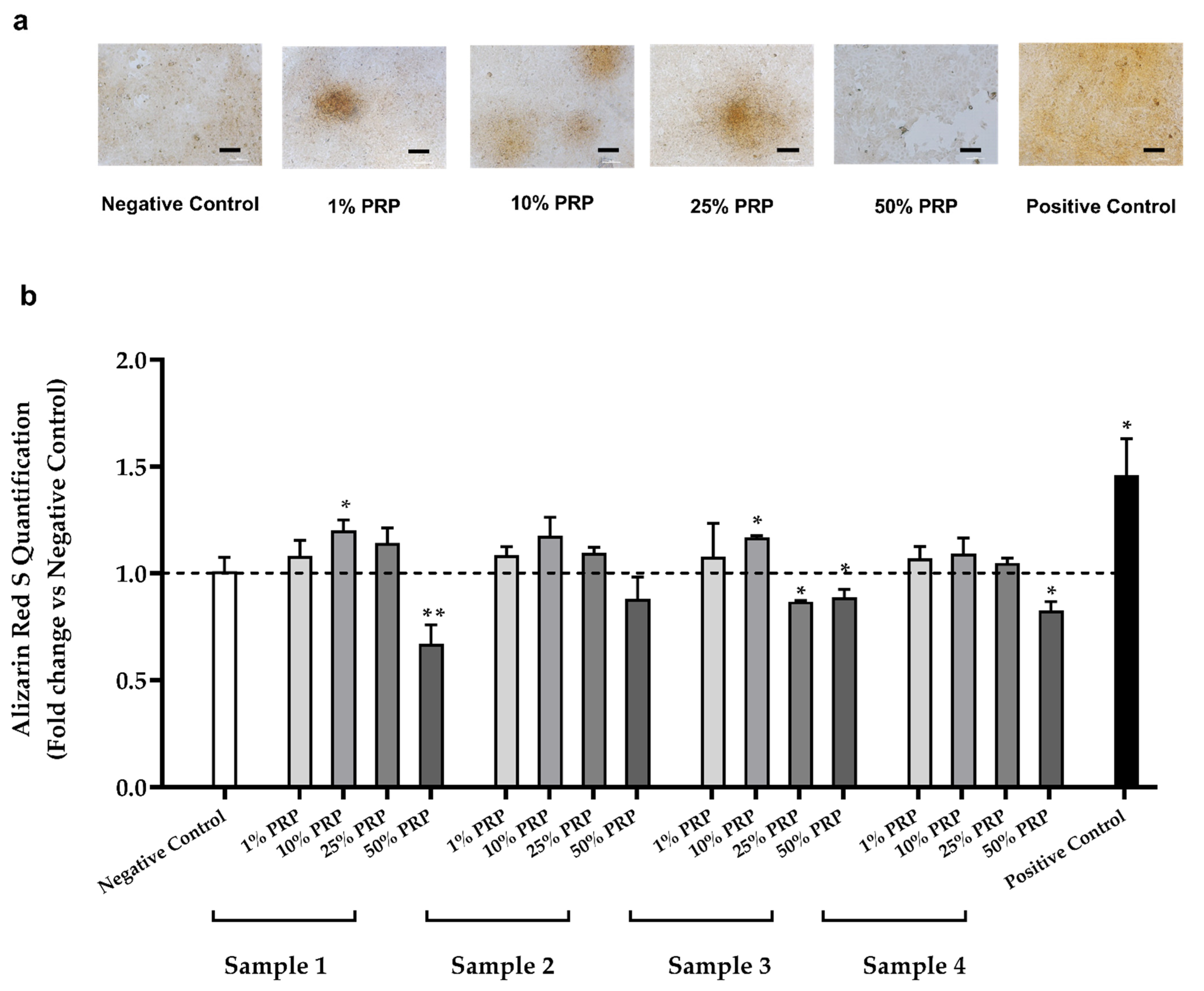 Ijms 22 08764 g004 550