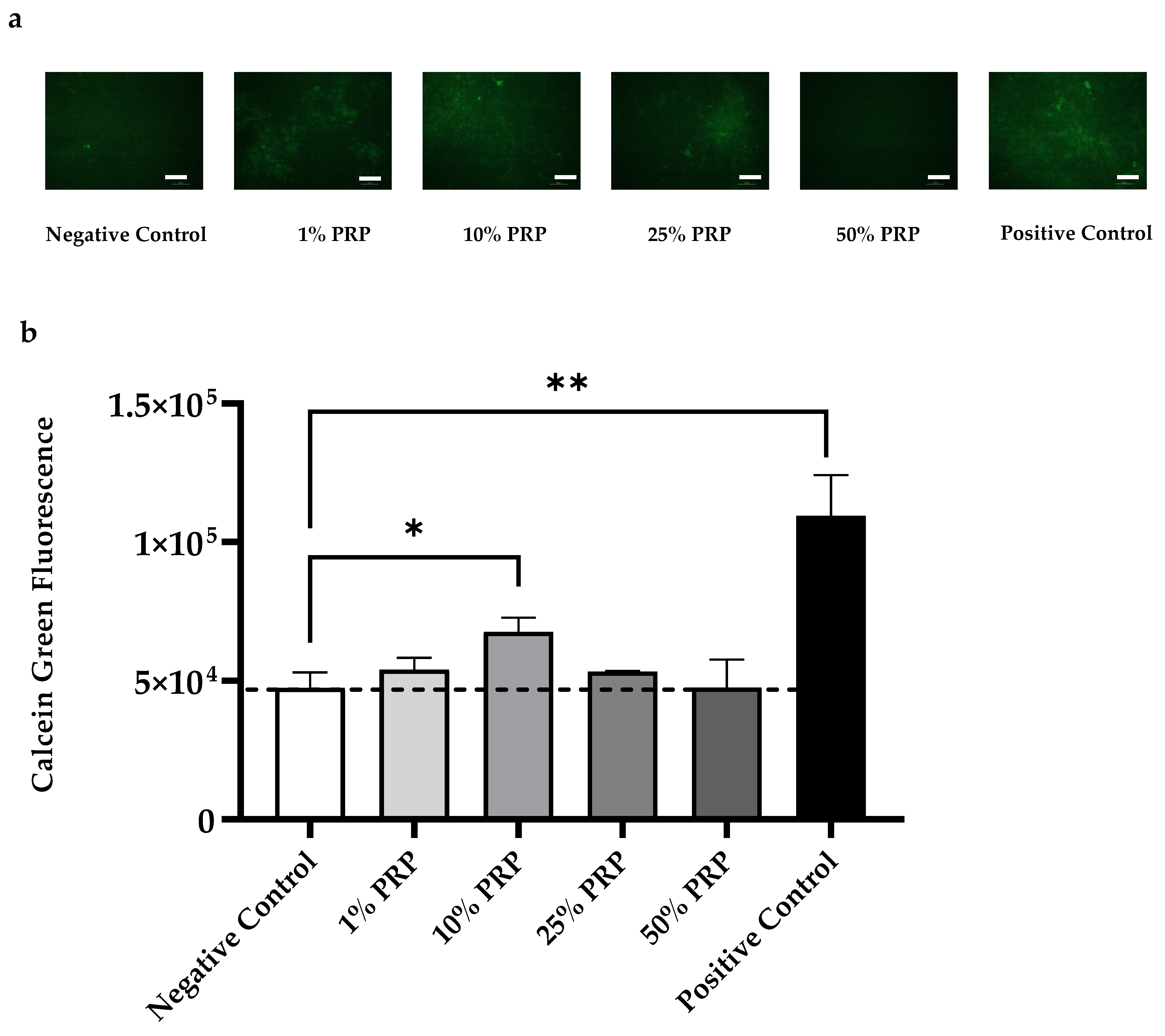 Ijms 22 08764 g005 550