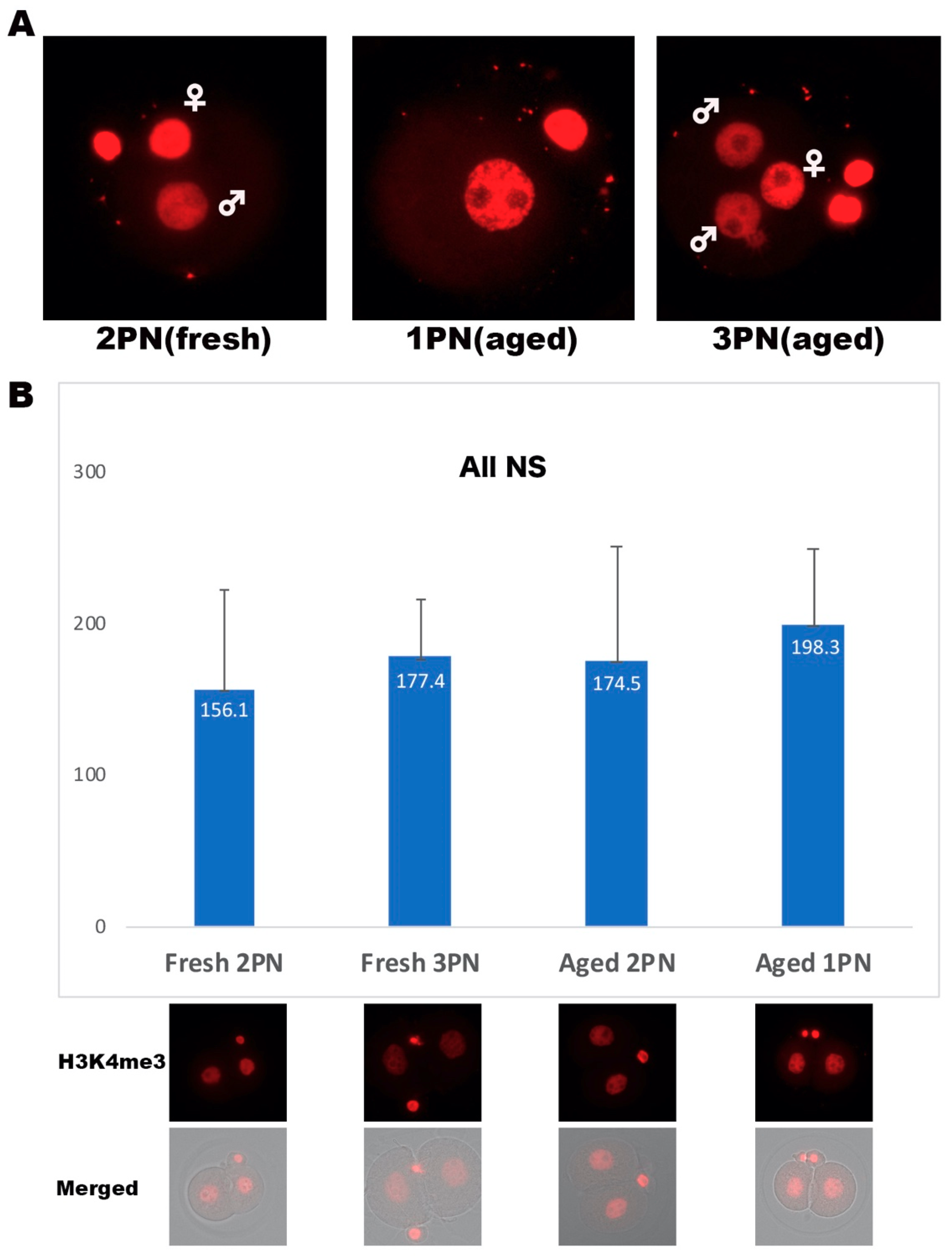 Can A 4Aa Embryo Be Abnormal - bzksjkx