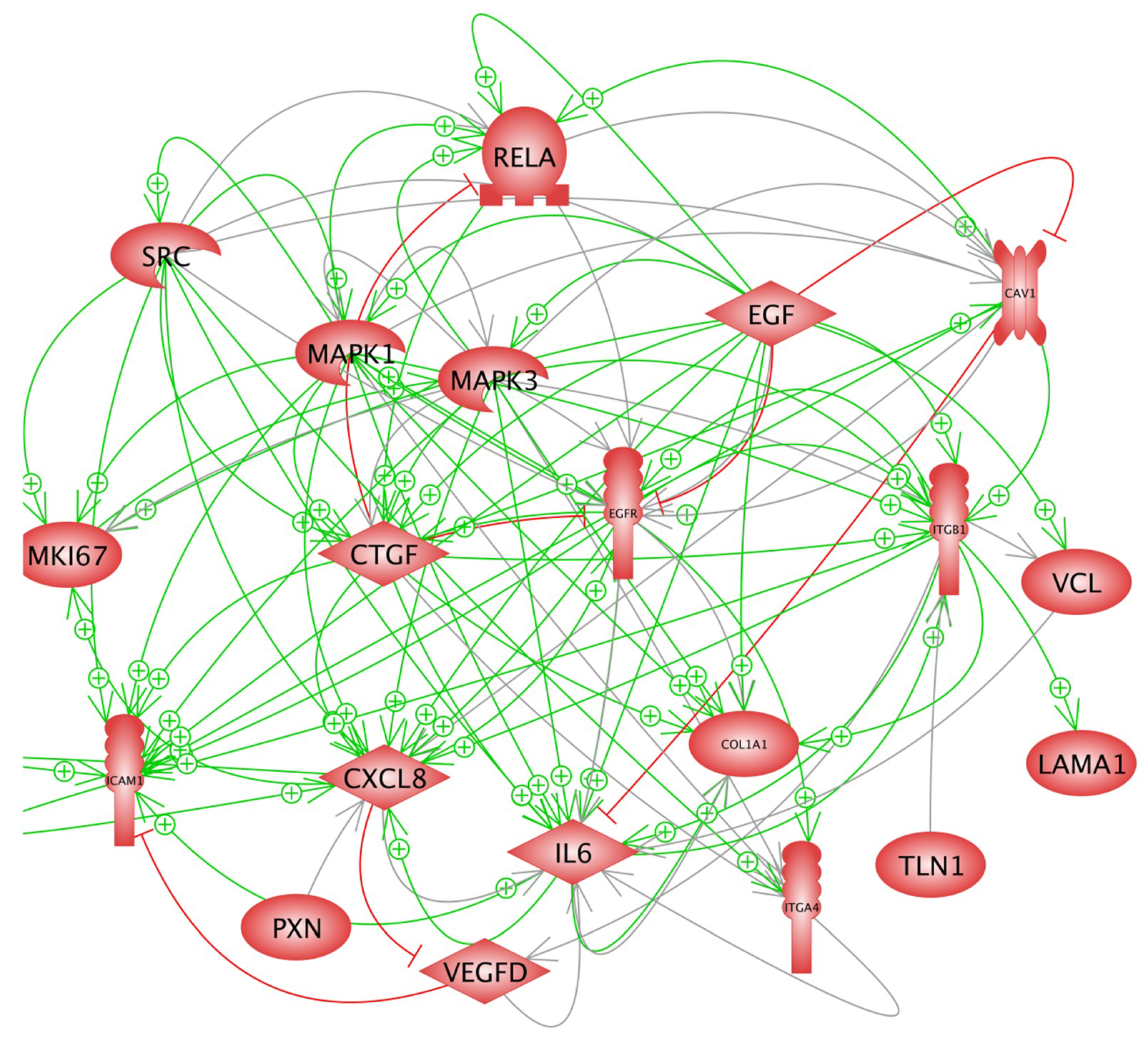 Ijms 22 08777 g007 550