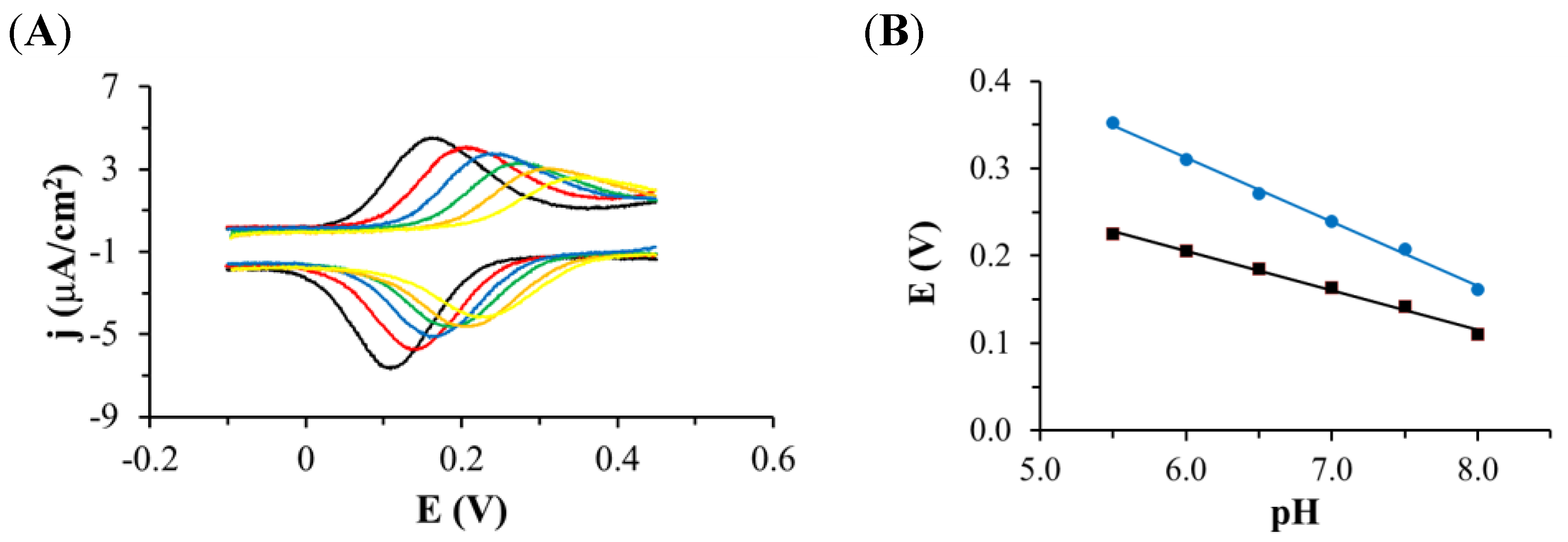 Ijms 22 08783 g004 550