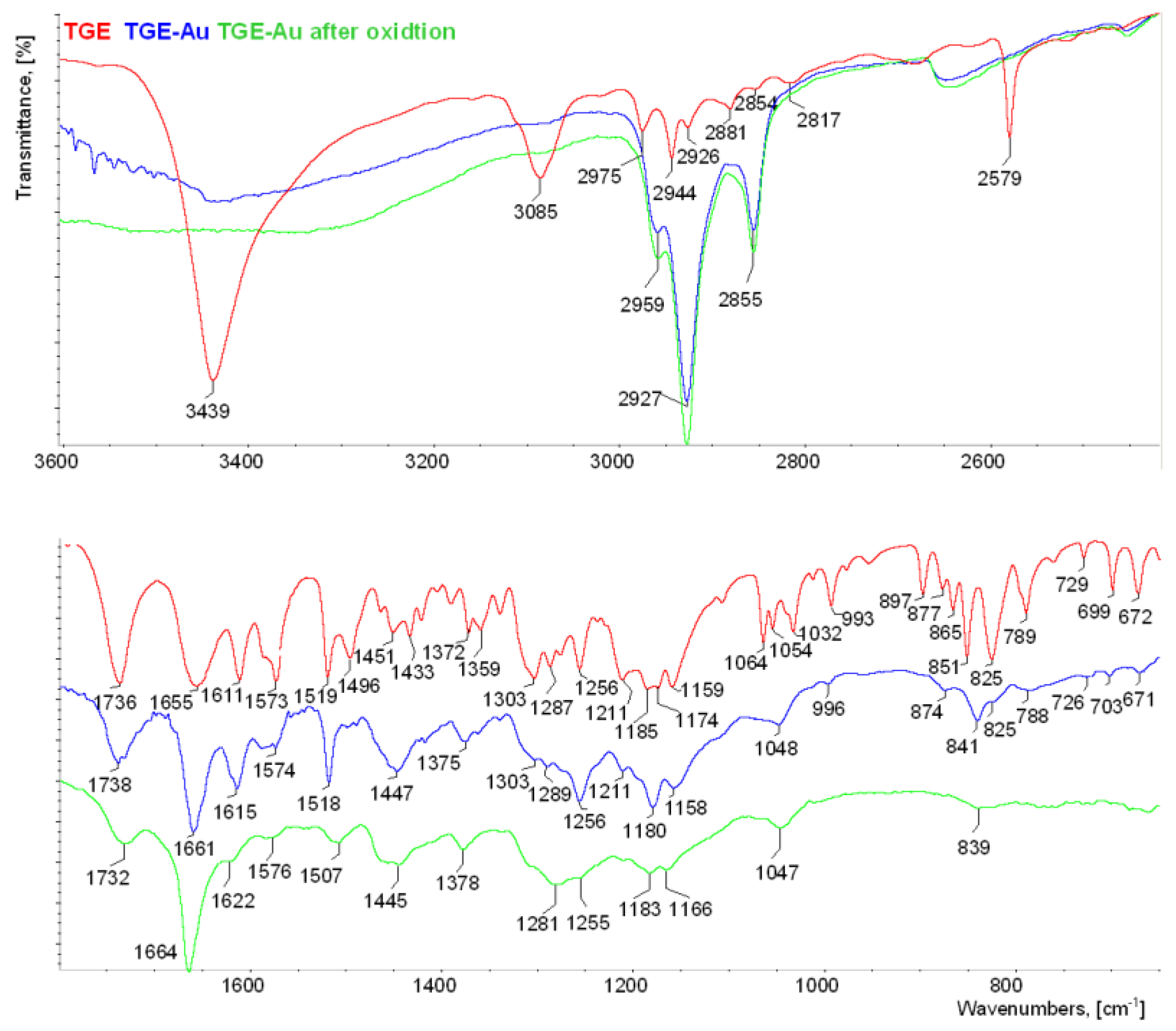 Ijms 22 08783 g007 550