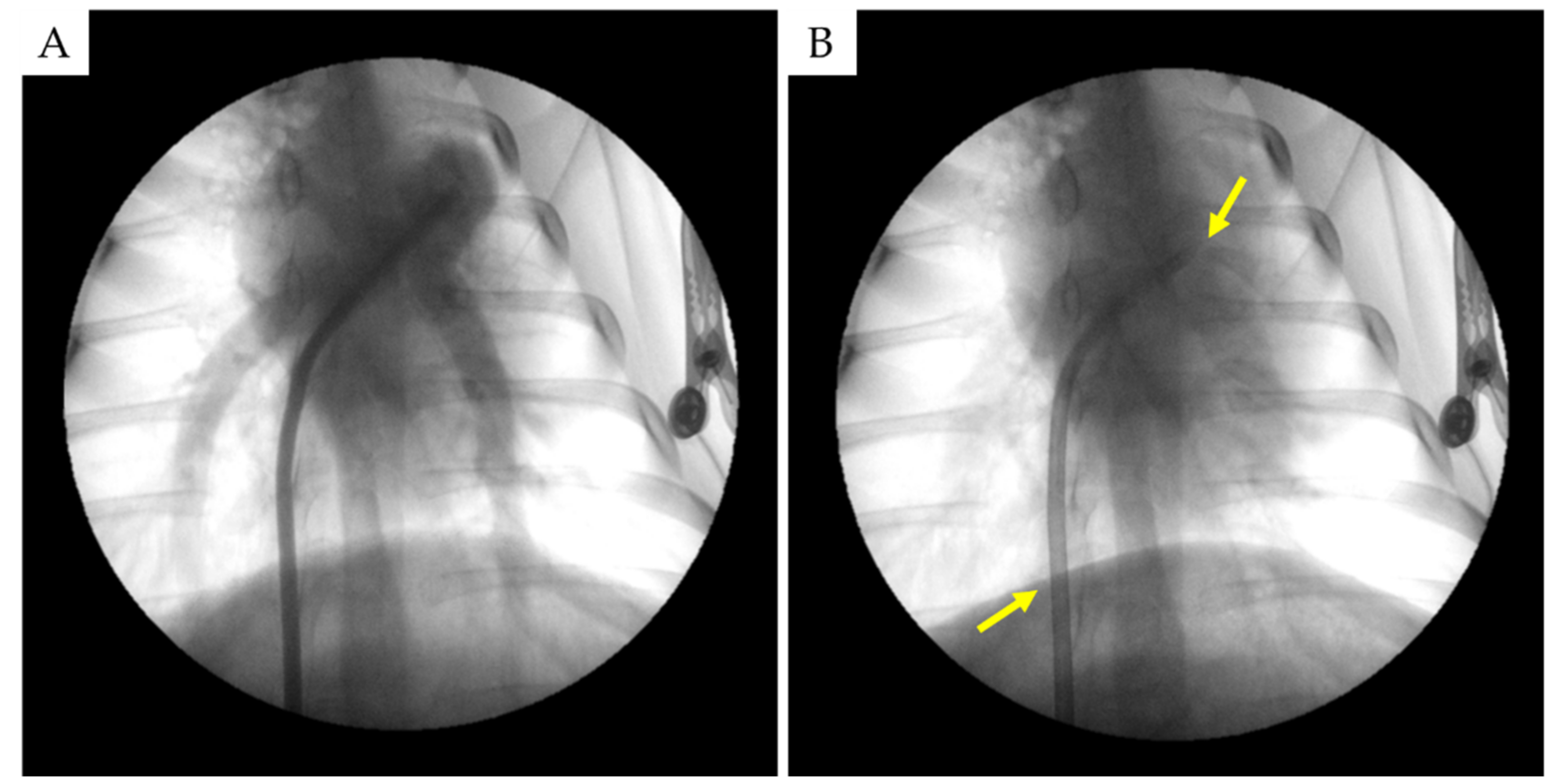 Ijms 22 08788 g002 Ijms 22 08788 g002