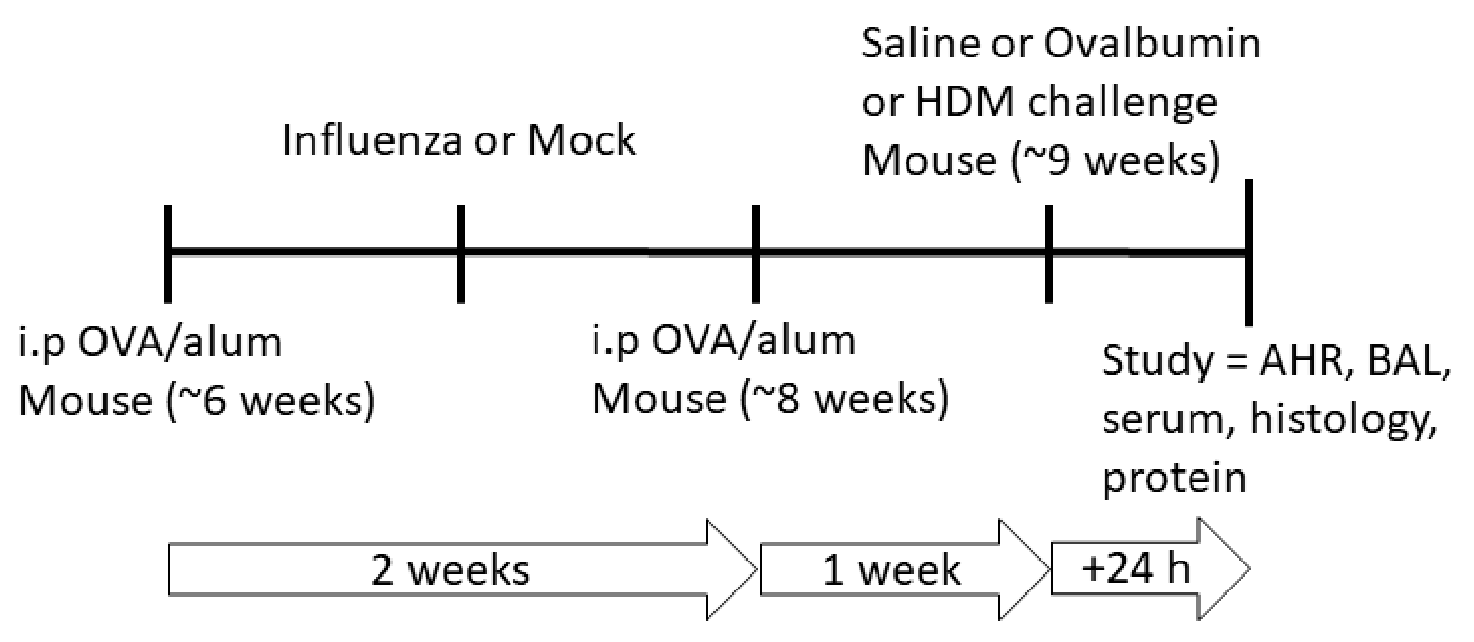 Ijms 22 08790 g001 550