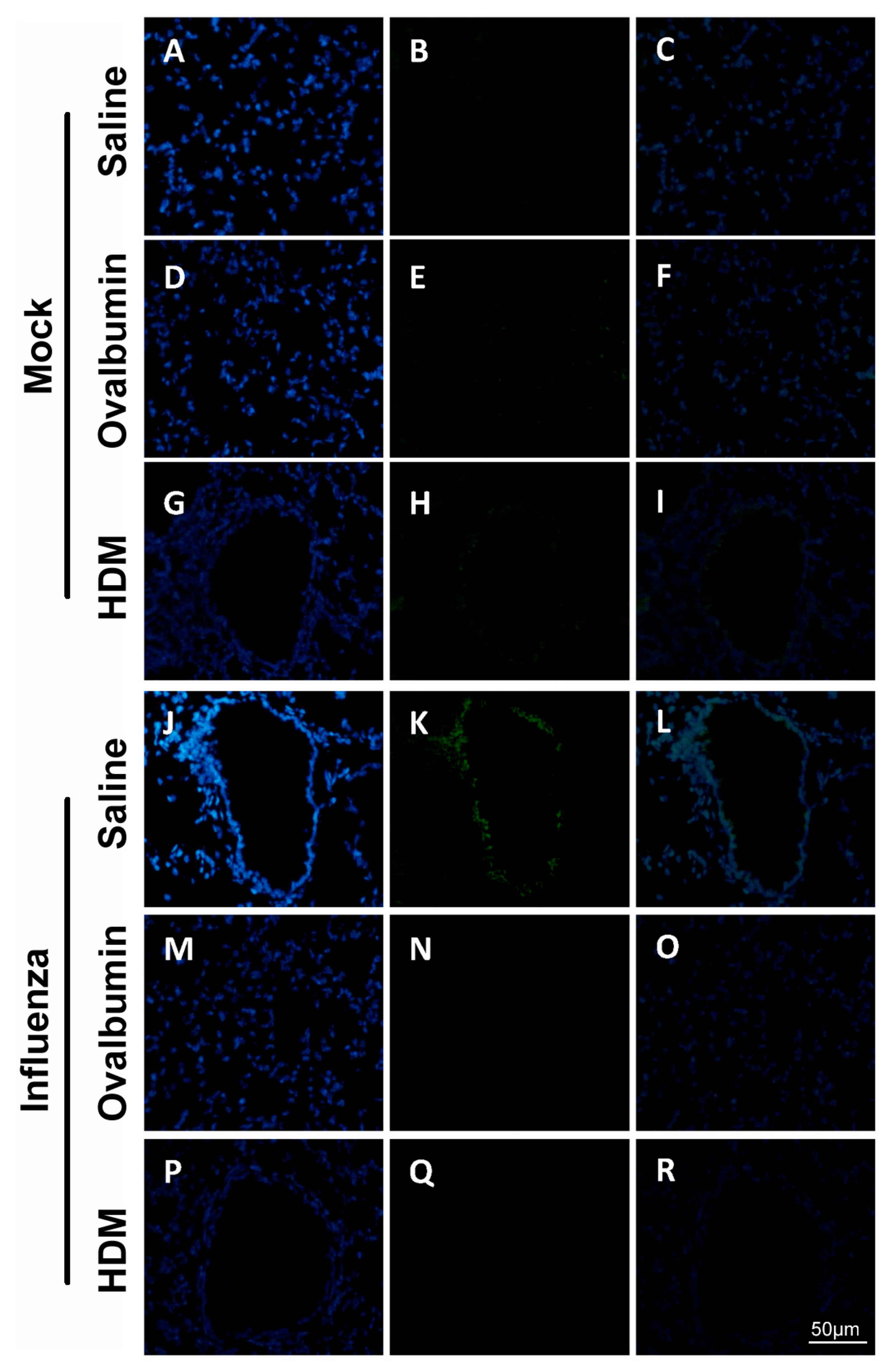 Ijms 22 08790 g006 550