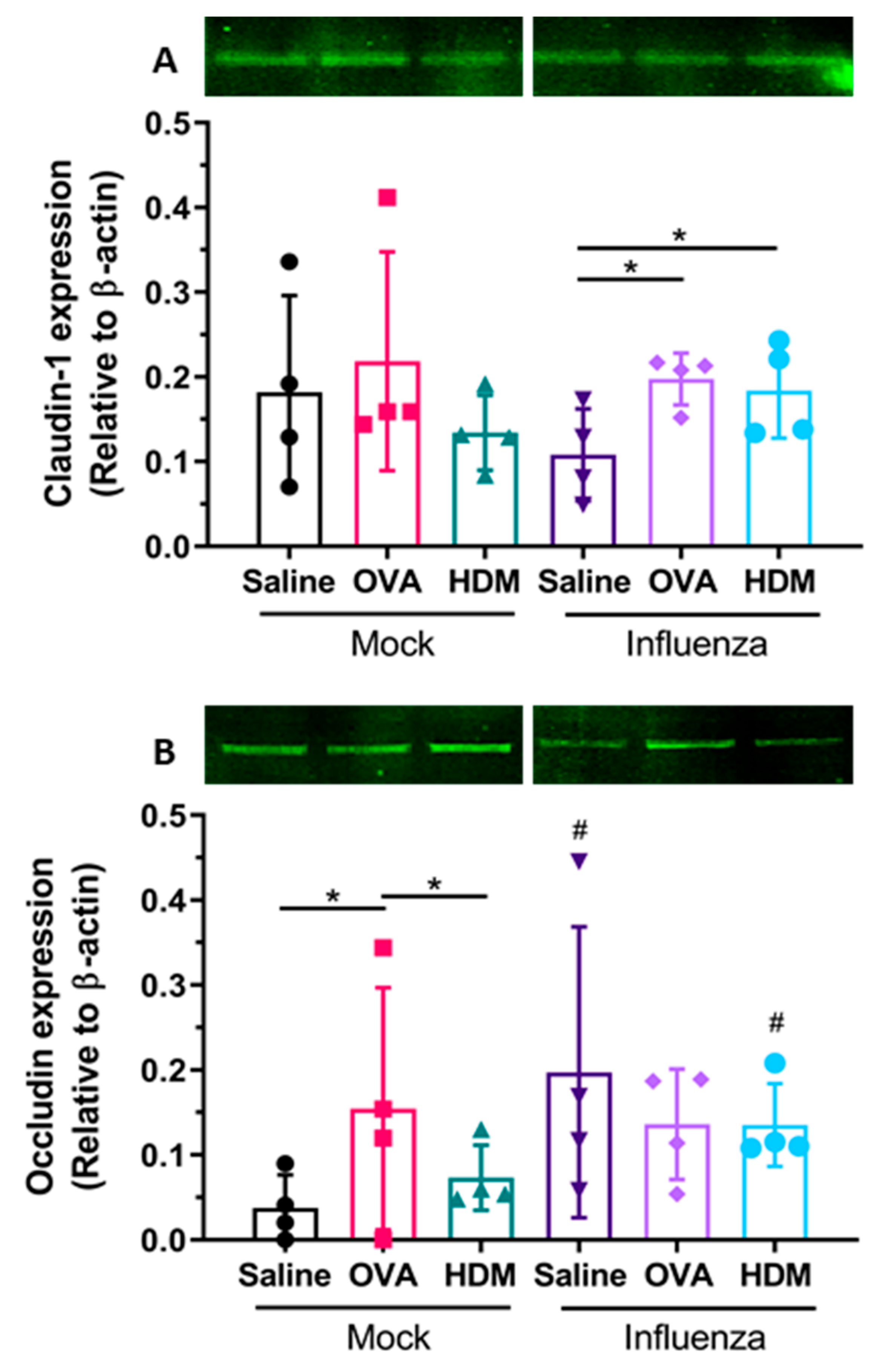 Ijms 22 08790 g007 550