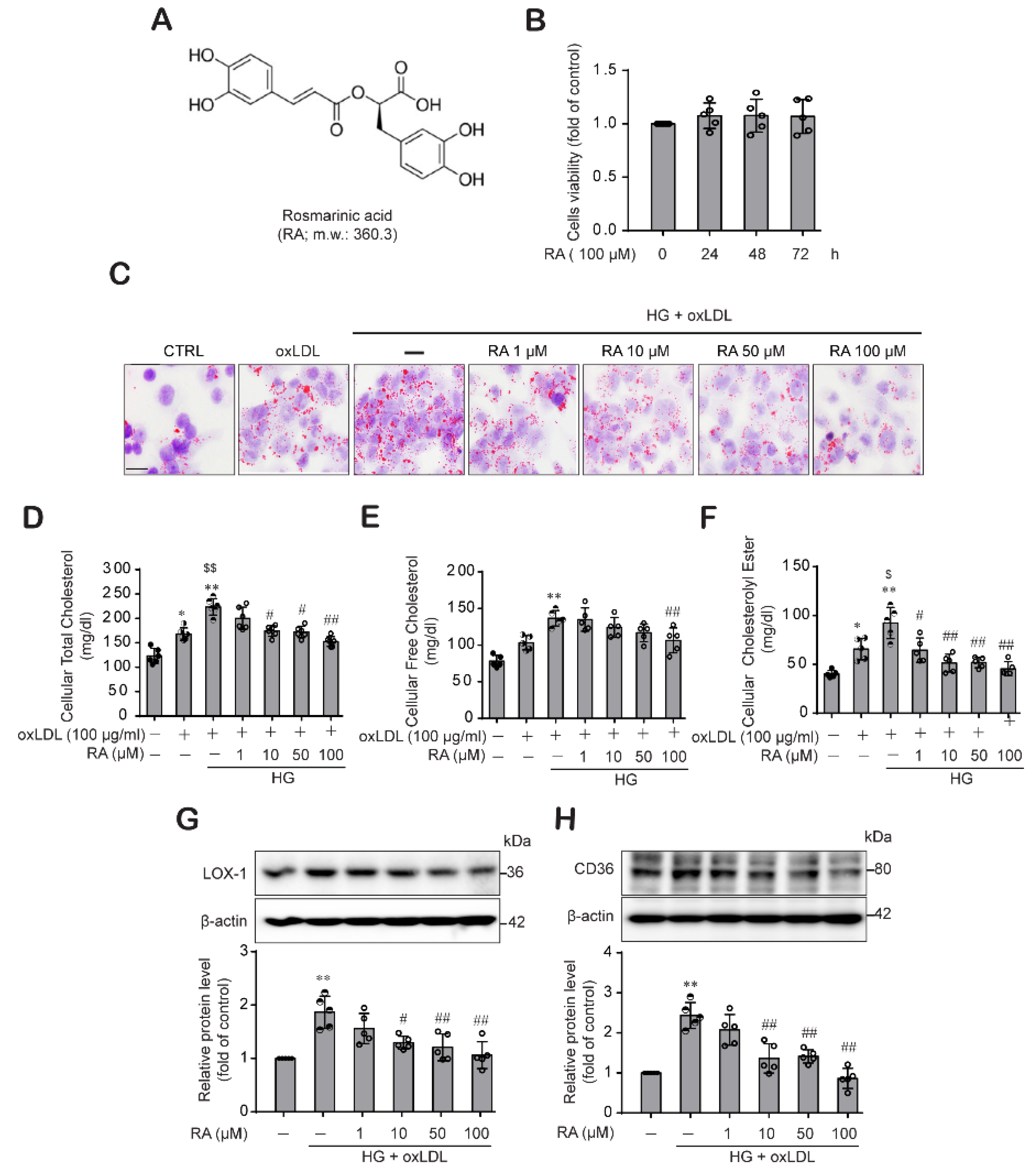 Ijms 22 08791 g001 550