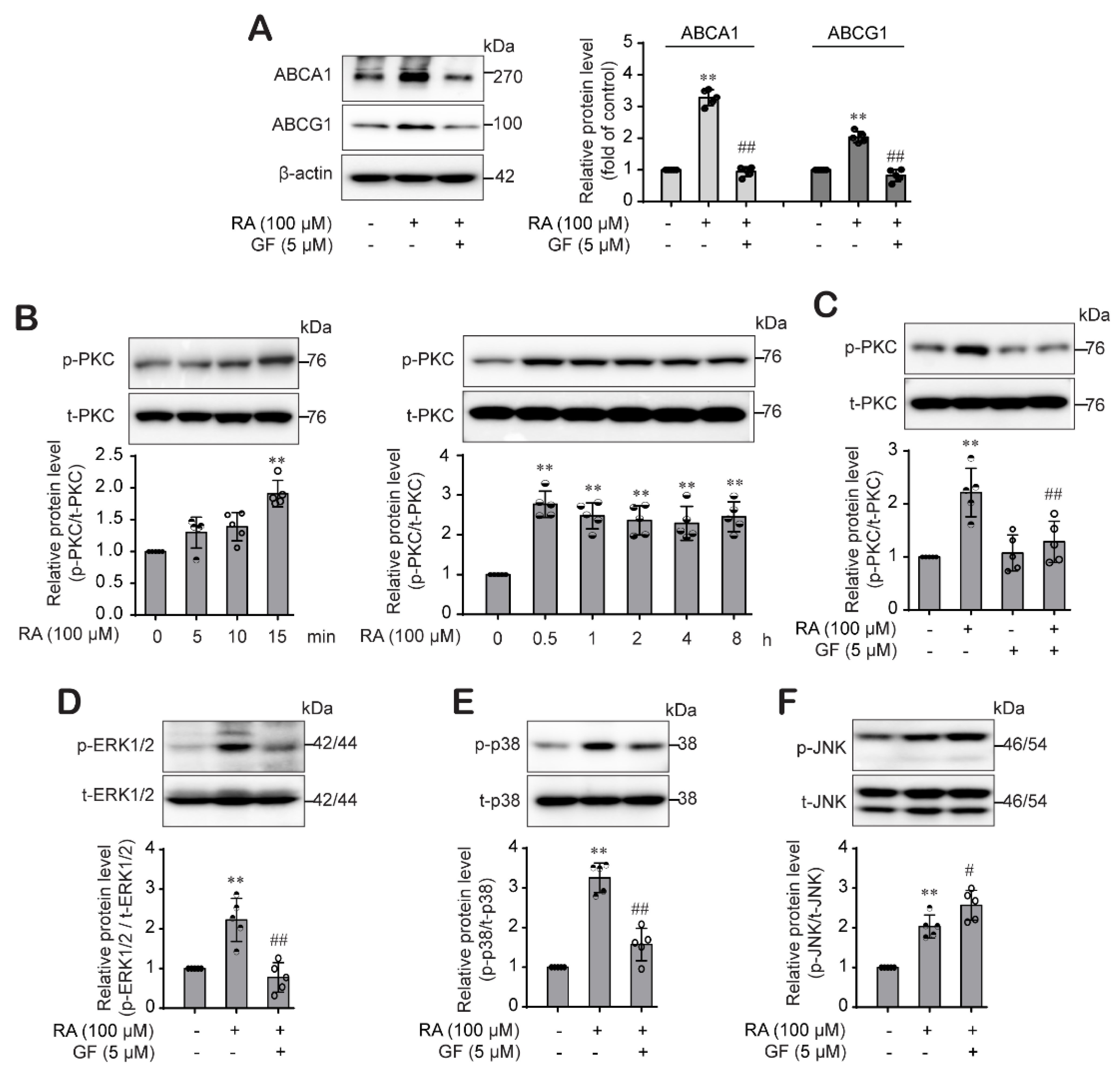 Ijms 22 08791 g005 550