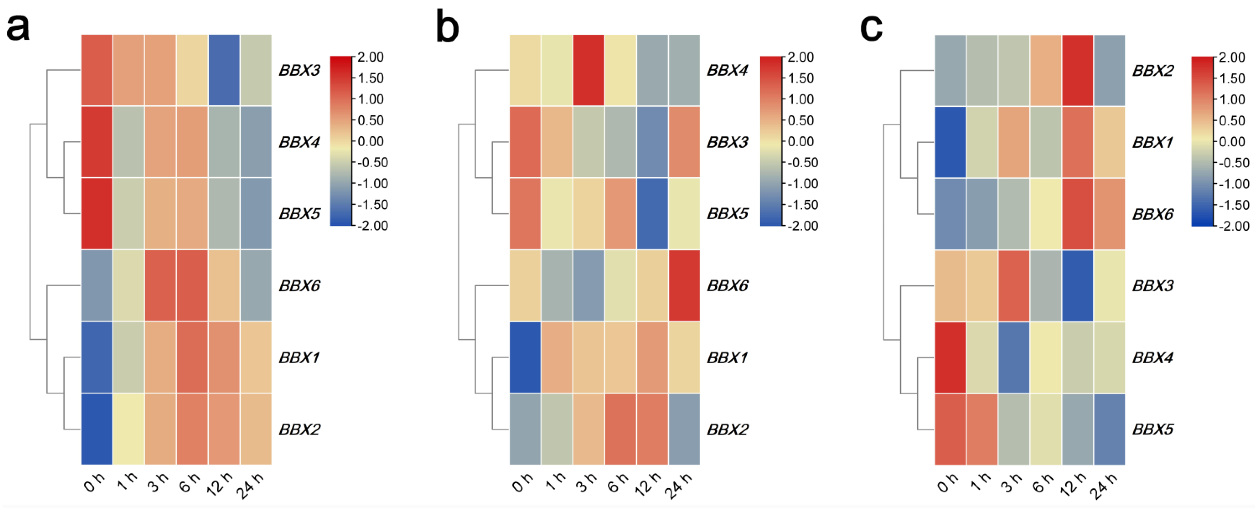 Ijms 22 08793 g005 550