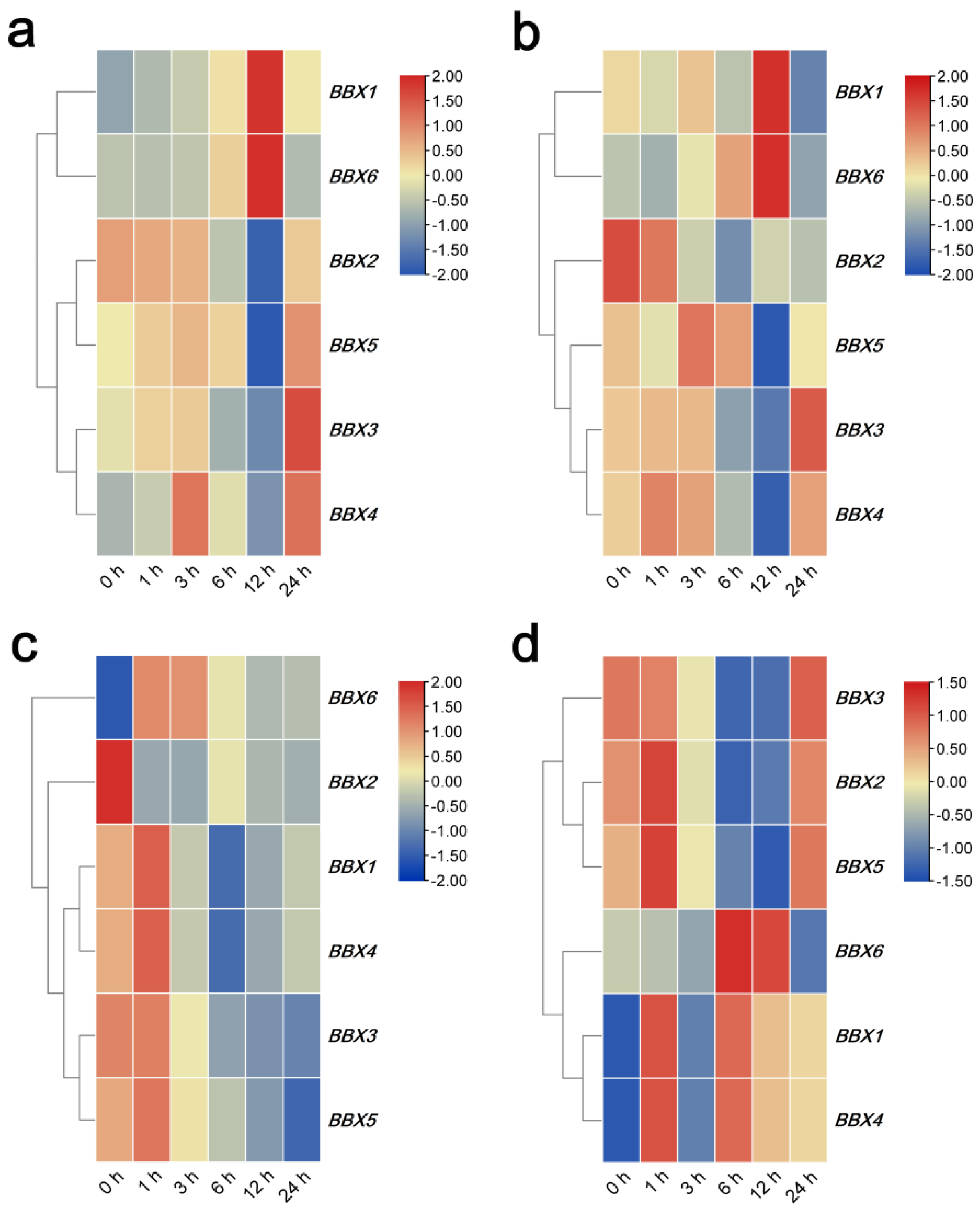 Ijms 22 08793 g006 550