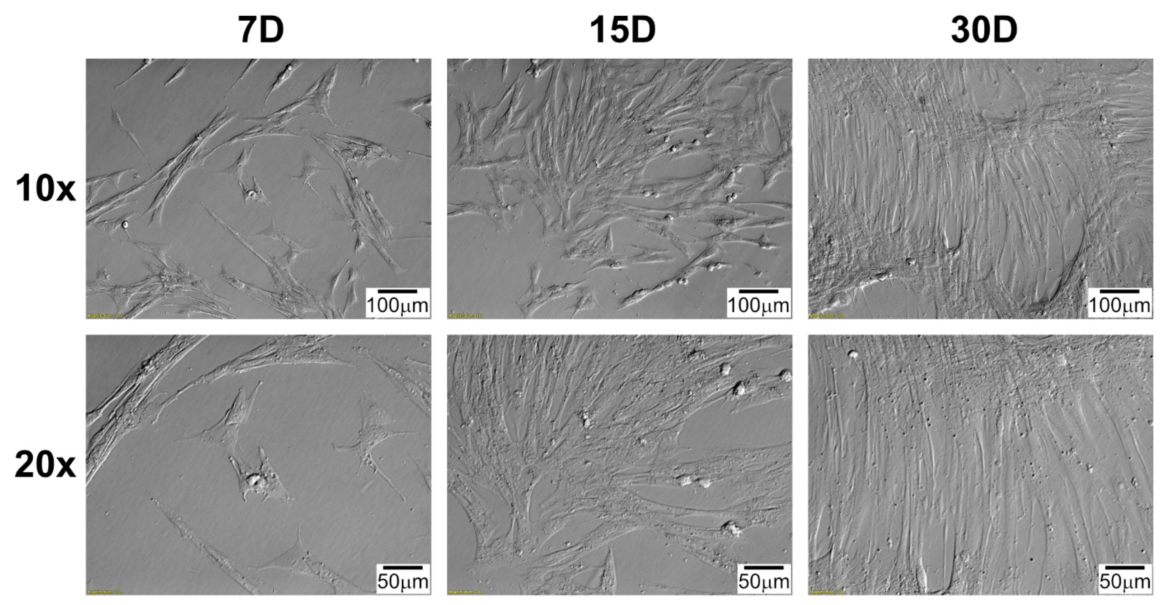 Ijms 22 08794 g001 550