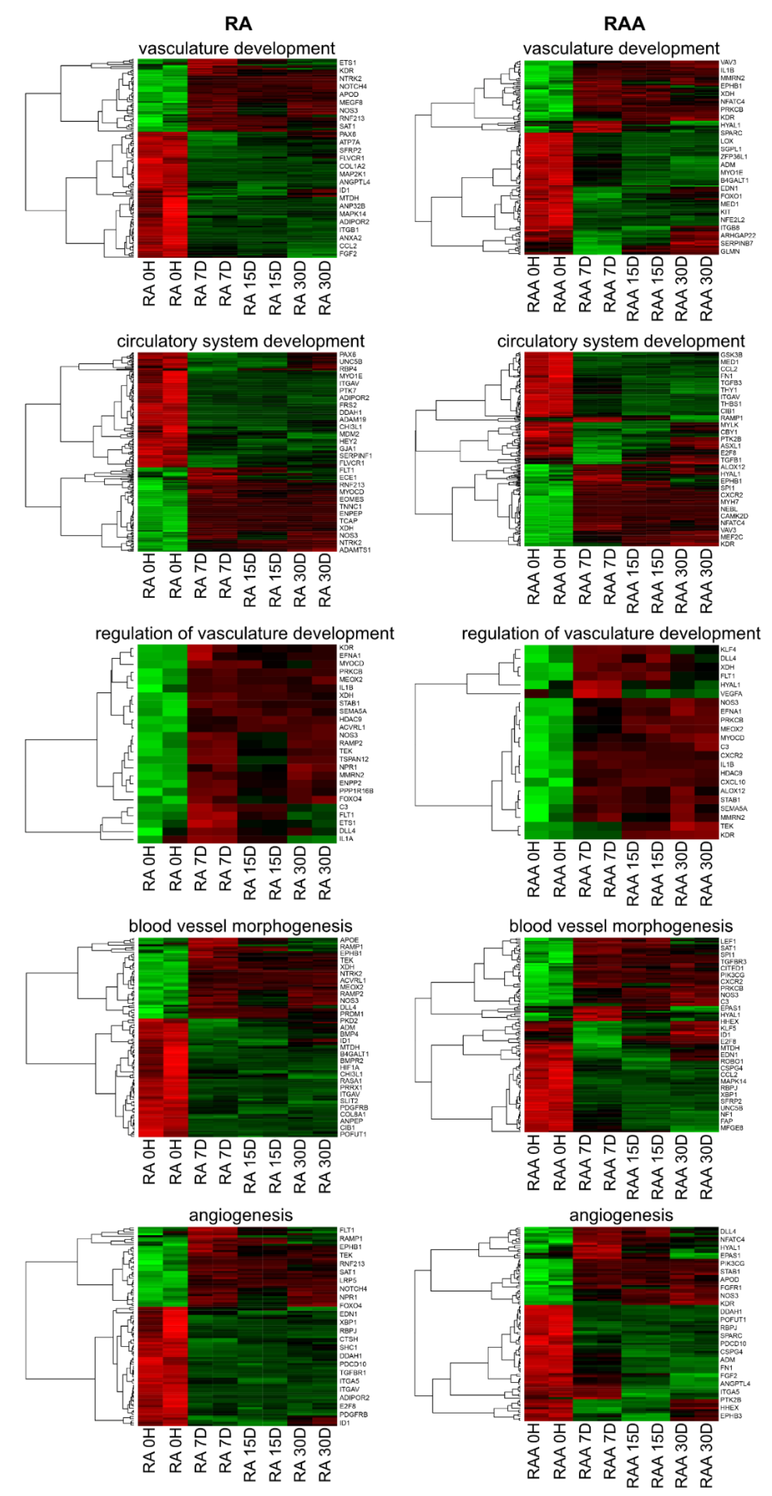 Ijms 22 08794 g004 550