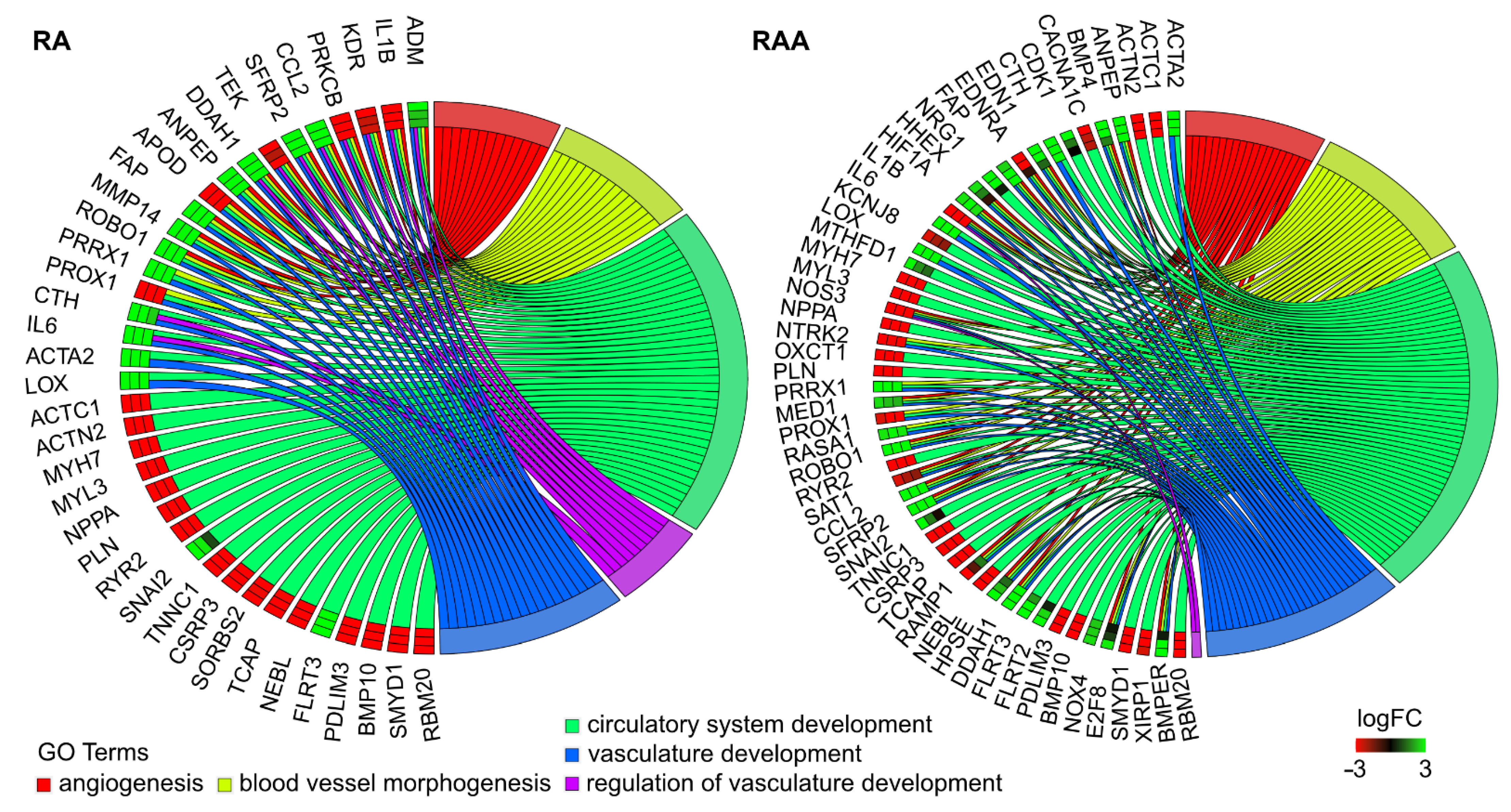Ijms 22 08794 g005 550