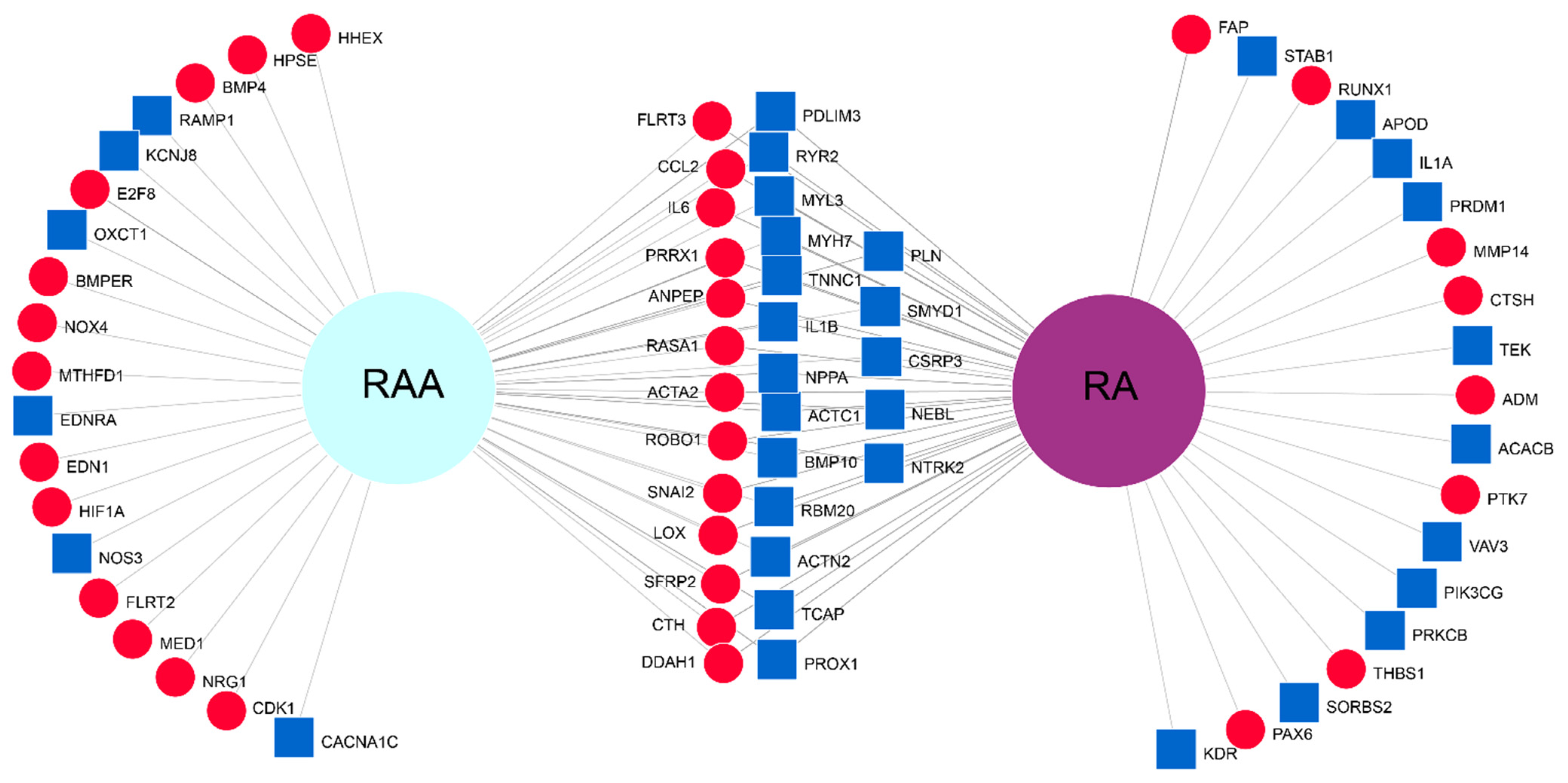 Ijms 22 08794 g008 550